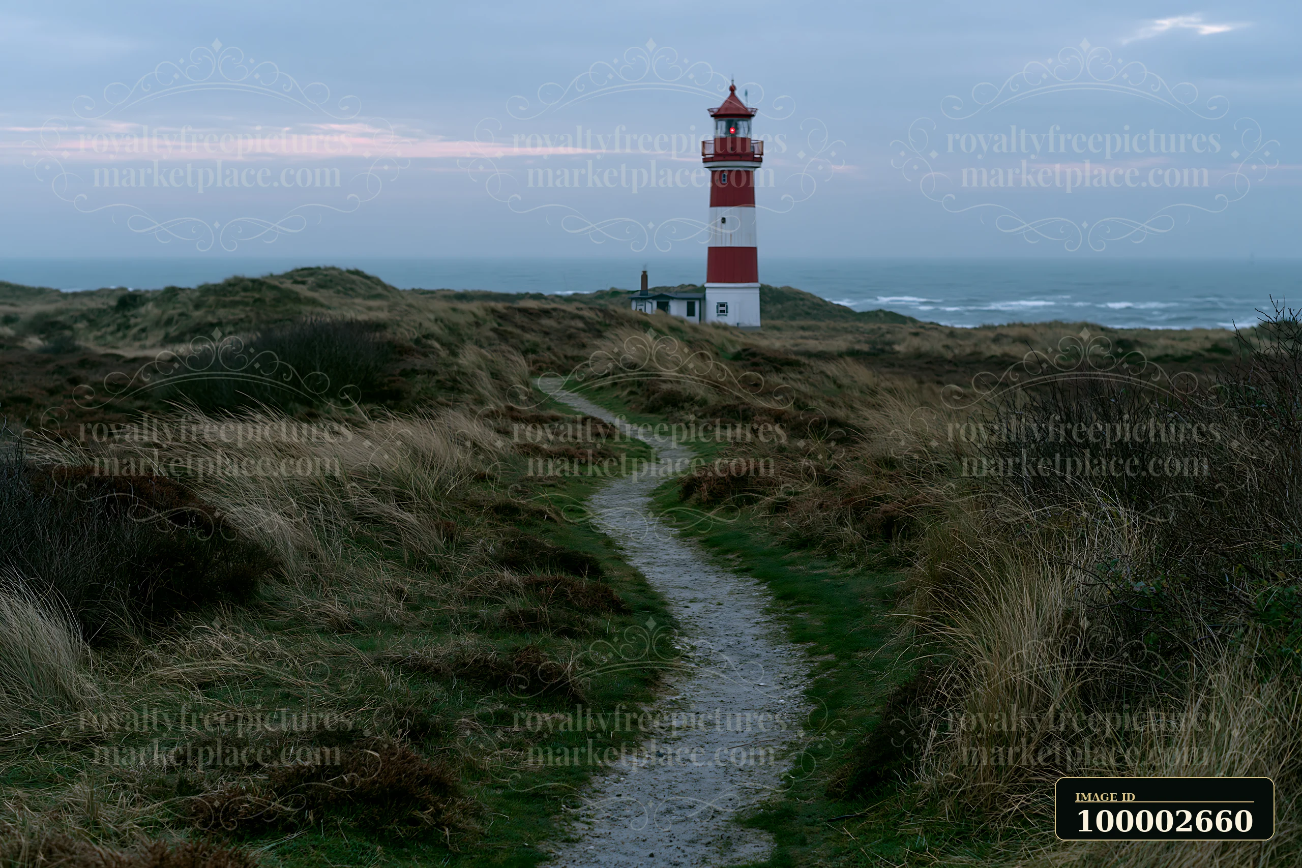 A lighthouse framed by coastal dunes stands on a path leading to the ocean.
