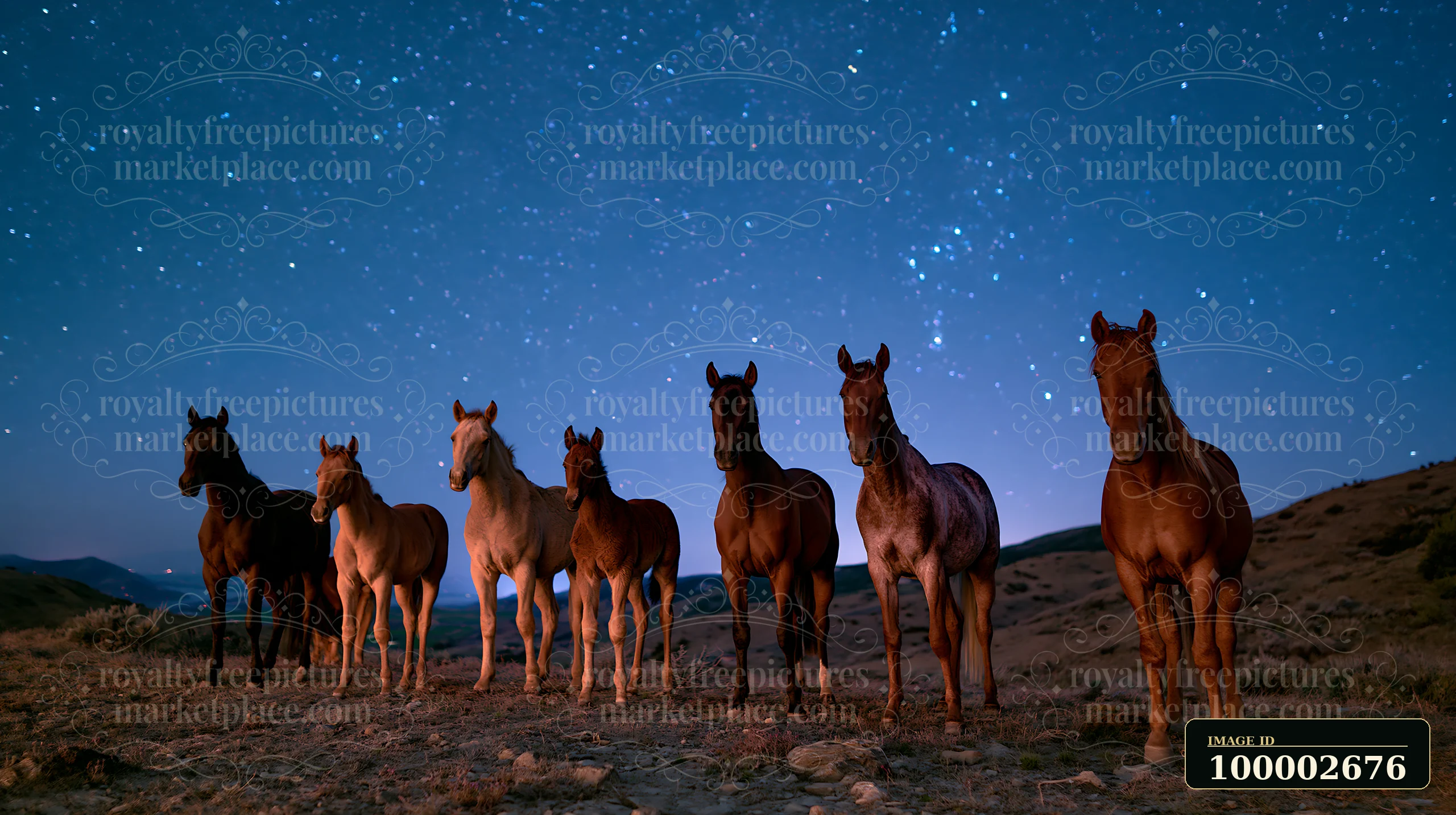 A herd of horses stands together under a star-filled sky at night.
