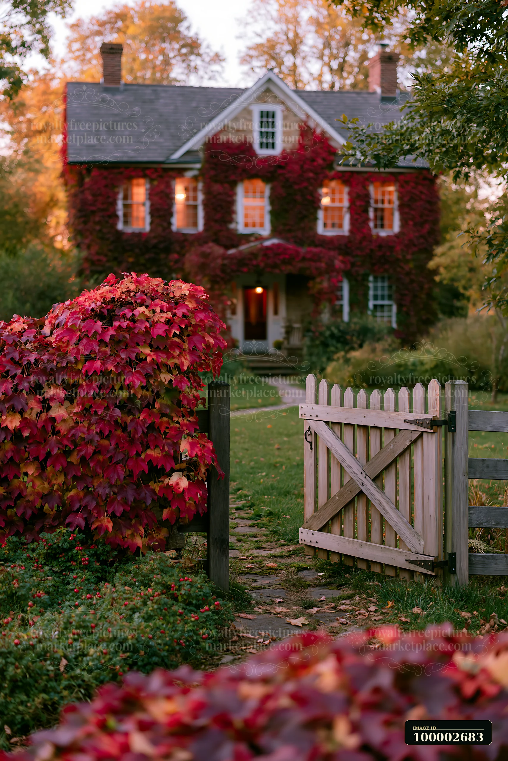 A traditional country house exterior features vibrant leaves covering the walls and a wooden gate leading to a path.