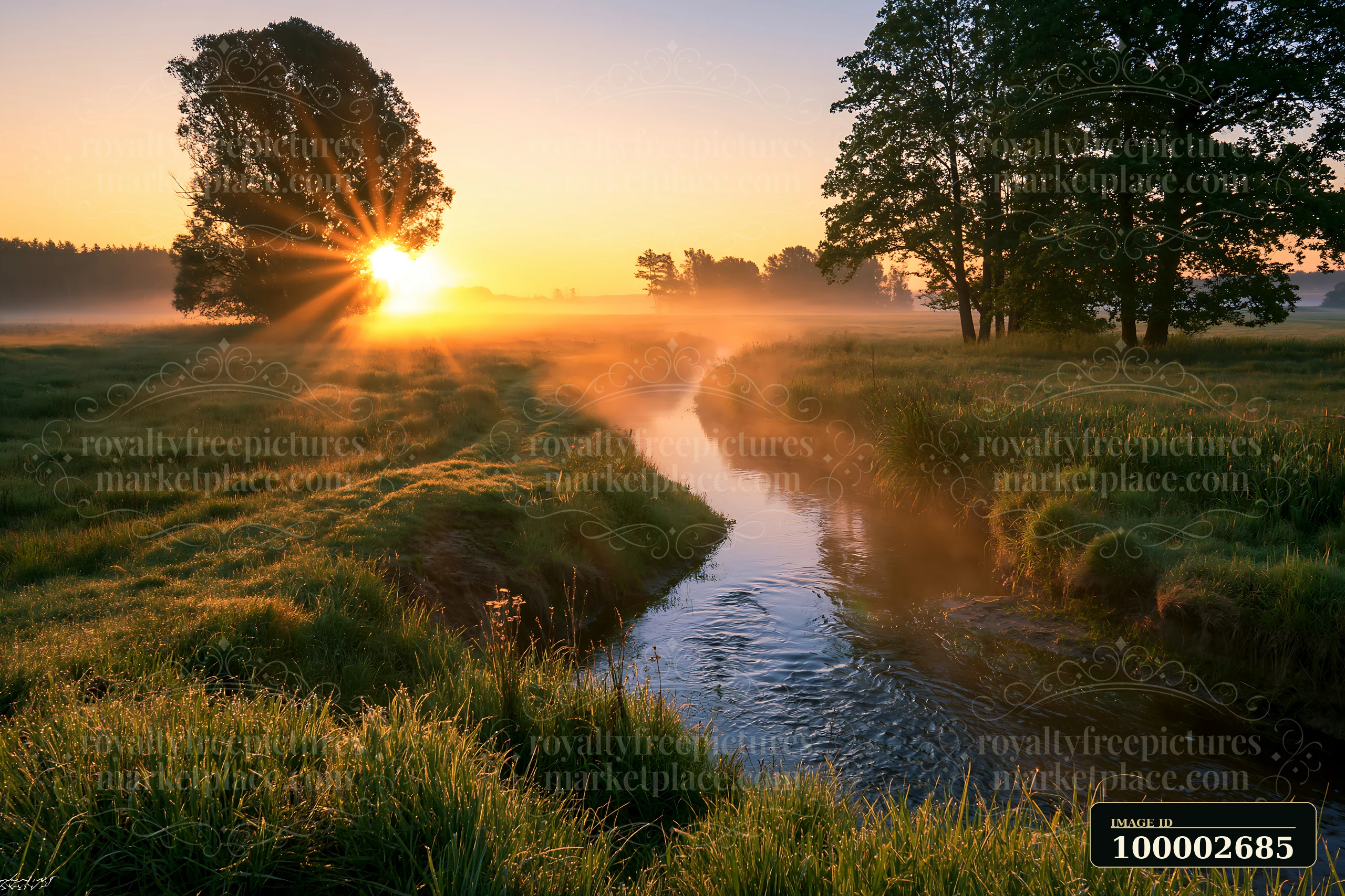 Sunbeams over a misty meadow create a warm glow as they rise above a calm stream surrounded by trees.