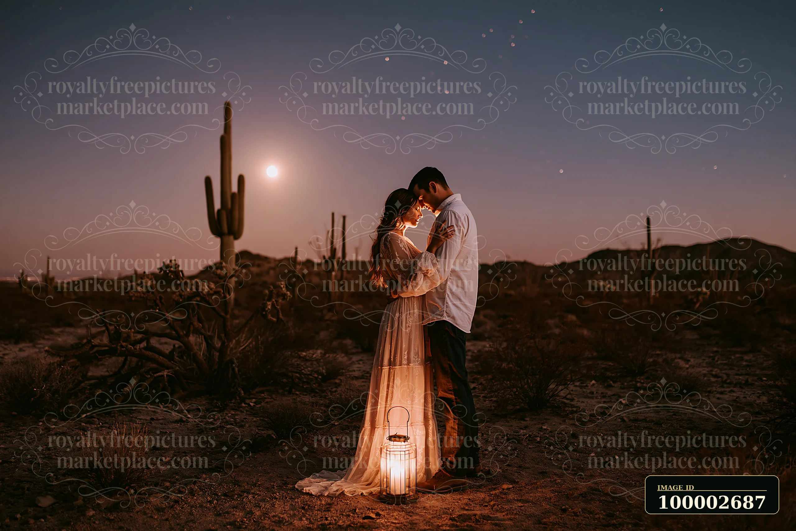 A couple stands close together, embracing under a clear night sky filled with stars and a bright full moon.