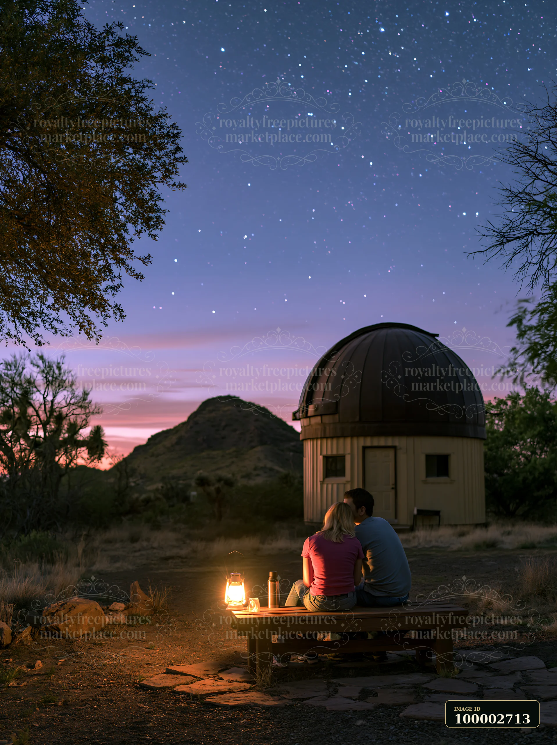 A couple at a remote observatory at night sits close together on a bench, holding each other near a glowing lantern, with stars twinkling in the sky above.