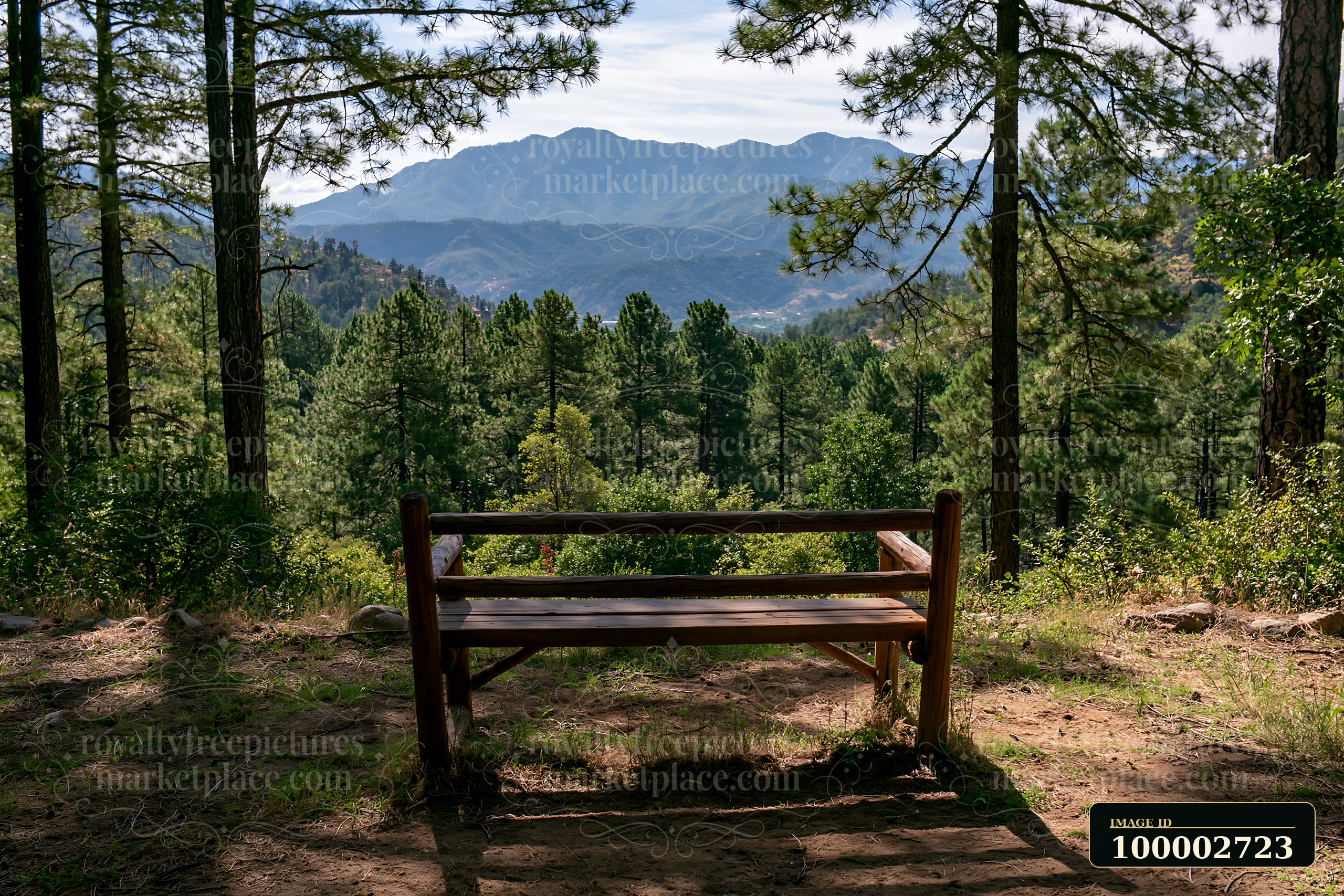 A wooden bench sits at the edge of a pine forest overlooking a mountain range.