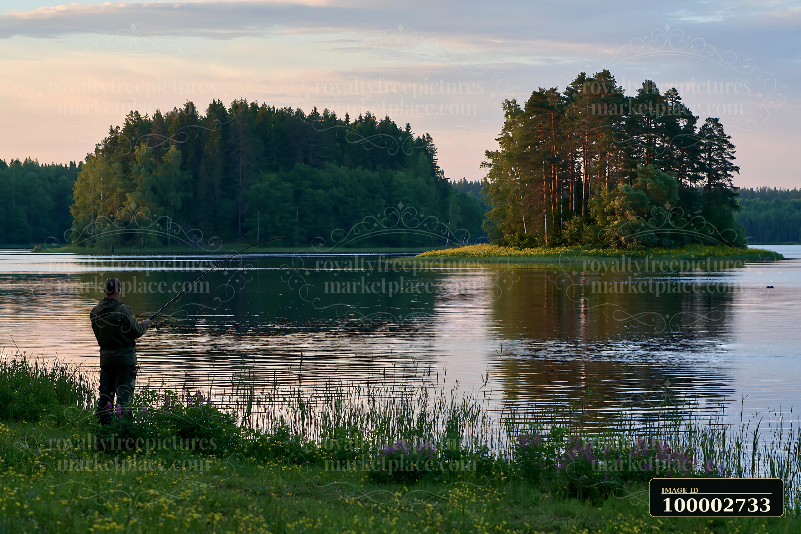 A person stands by the water, fishing while an island covered with buttercups and trees is visible in the background.