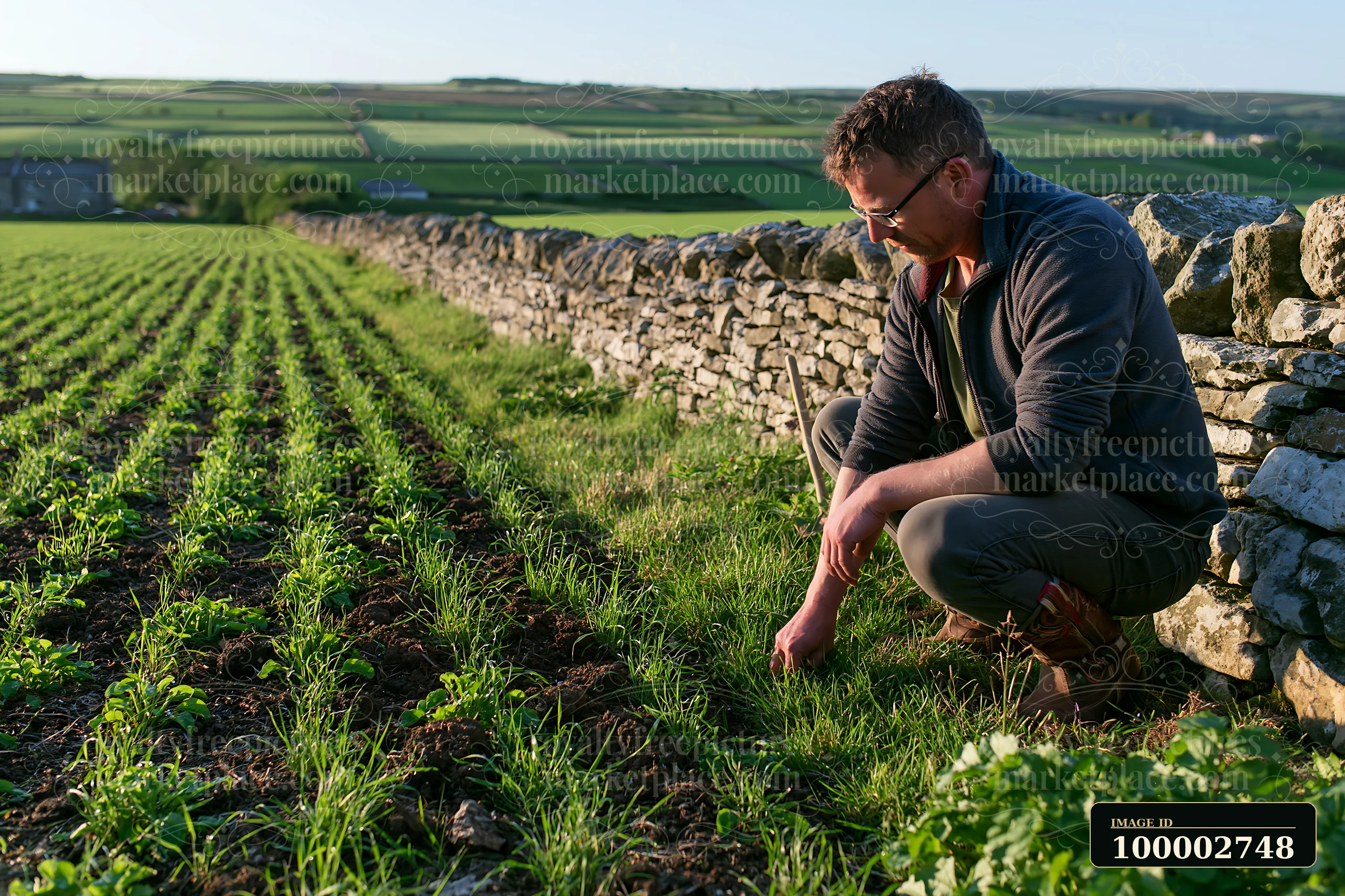 A farmer inspecting meadow crops is working in a field near a stone wall.
