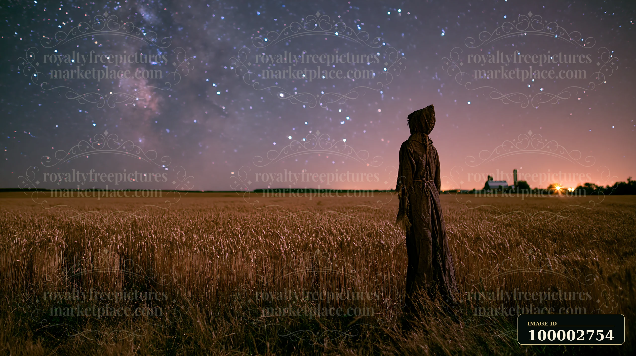 A figure stands in a wheat field under a starry sky at night.