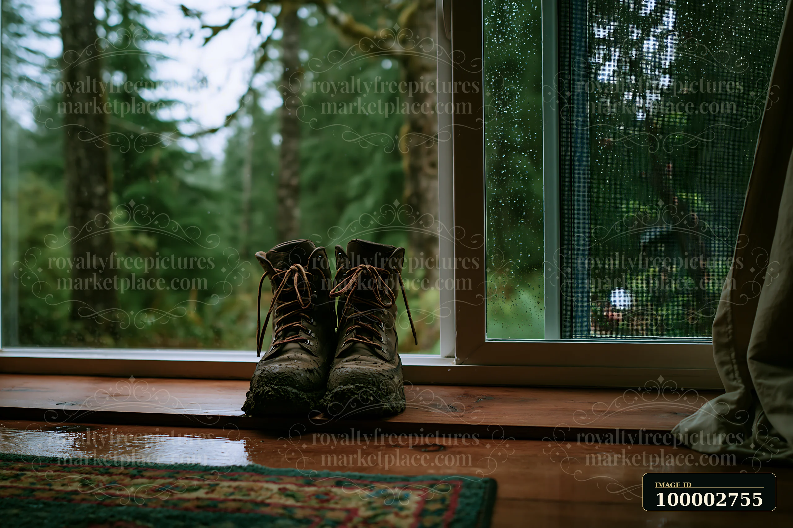 Wet boots sit by a large window in a forest cabin, with rain falling outside.