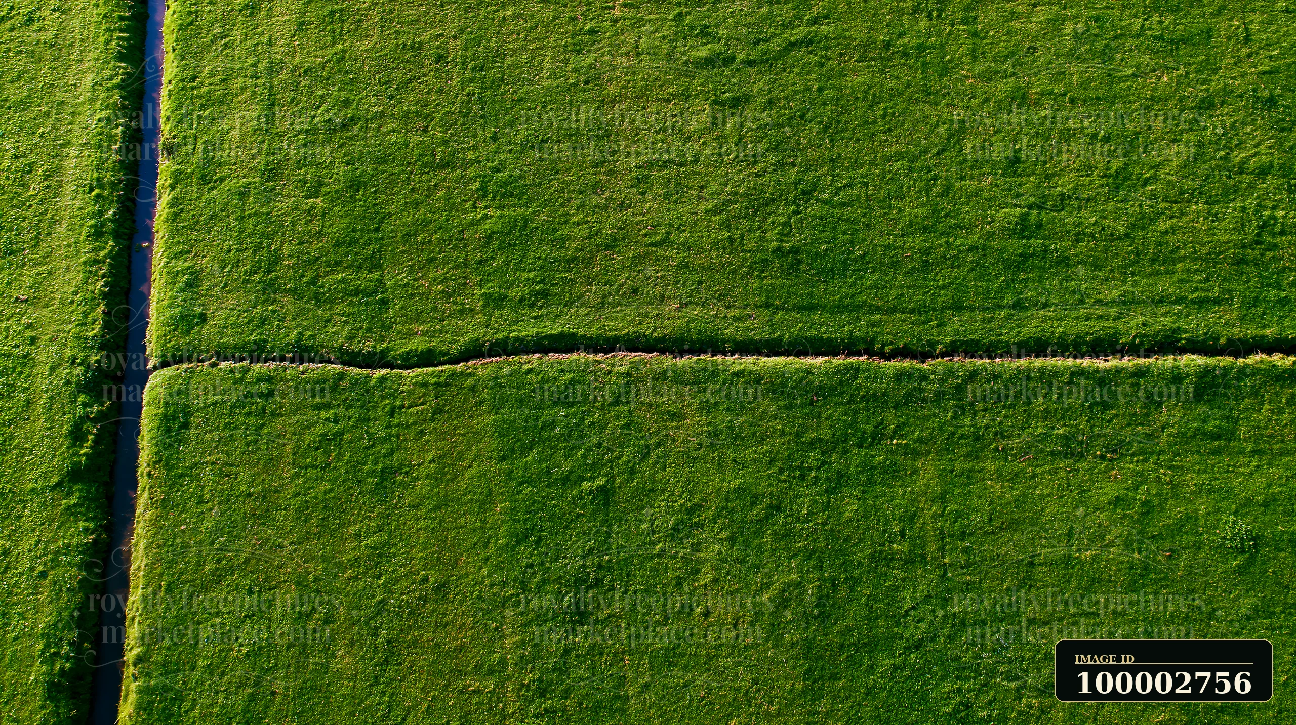 Aerial view captures a vast green meadow with a narrow dirt pathway cutting through.