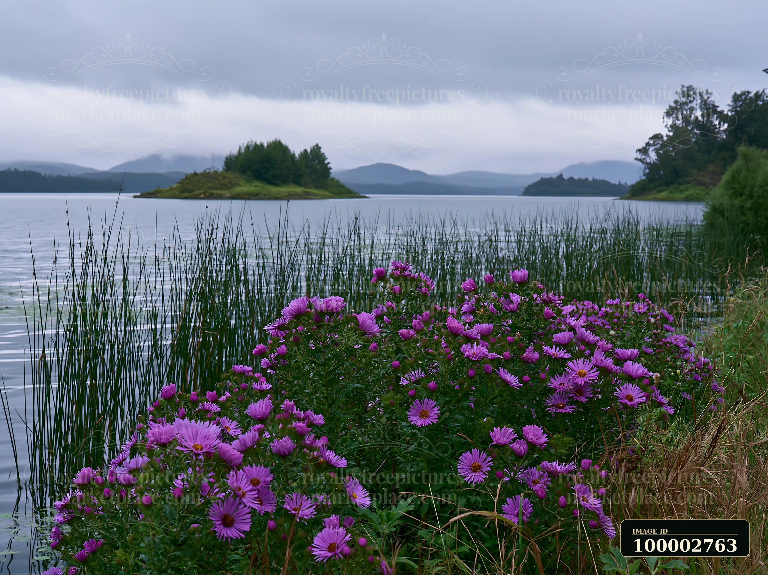 Wildflowers bloom along the shore, while a small island appears on the lake under a cloudy sky.