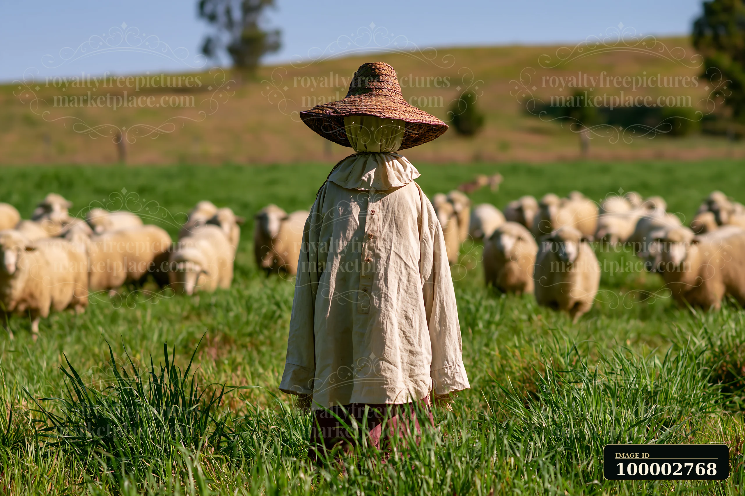 A scarecrow stands in a green meadow while a flock of sheep grazes nearby.