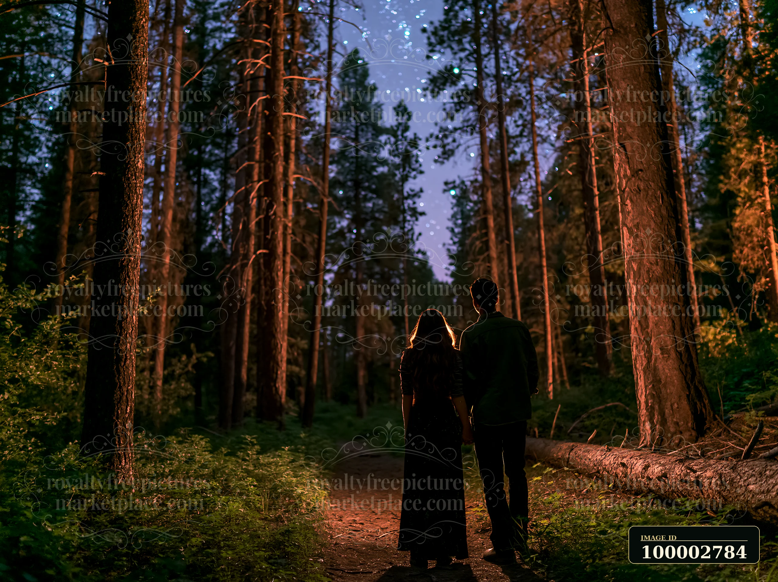 A couple hiking under a starry night sky walks hand in hand through a dark forest with tall trees.