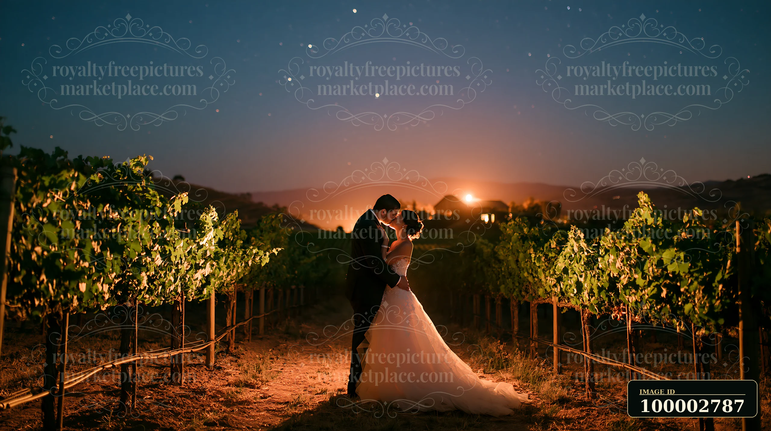 A couple kissing under a starry sky stands amidst vineyards at night.