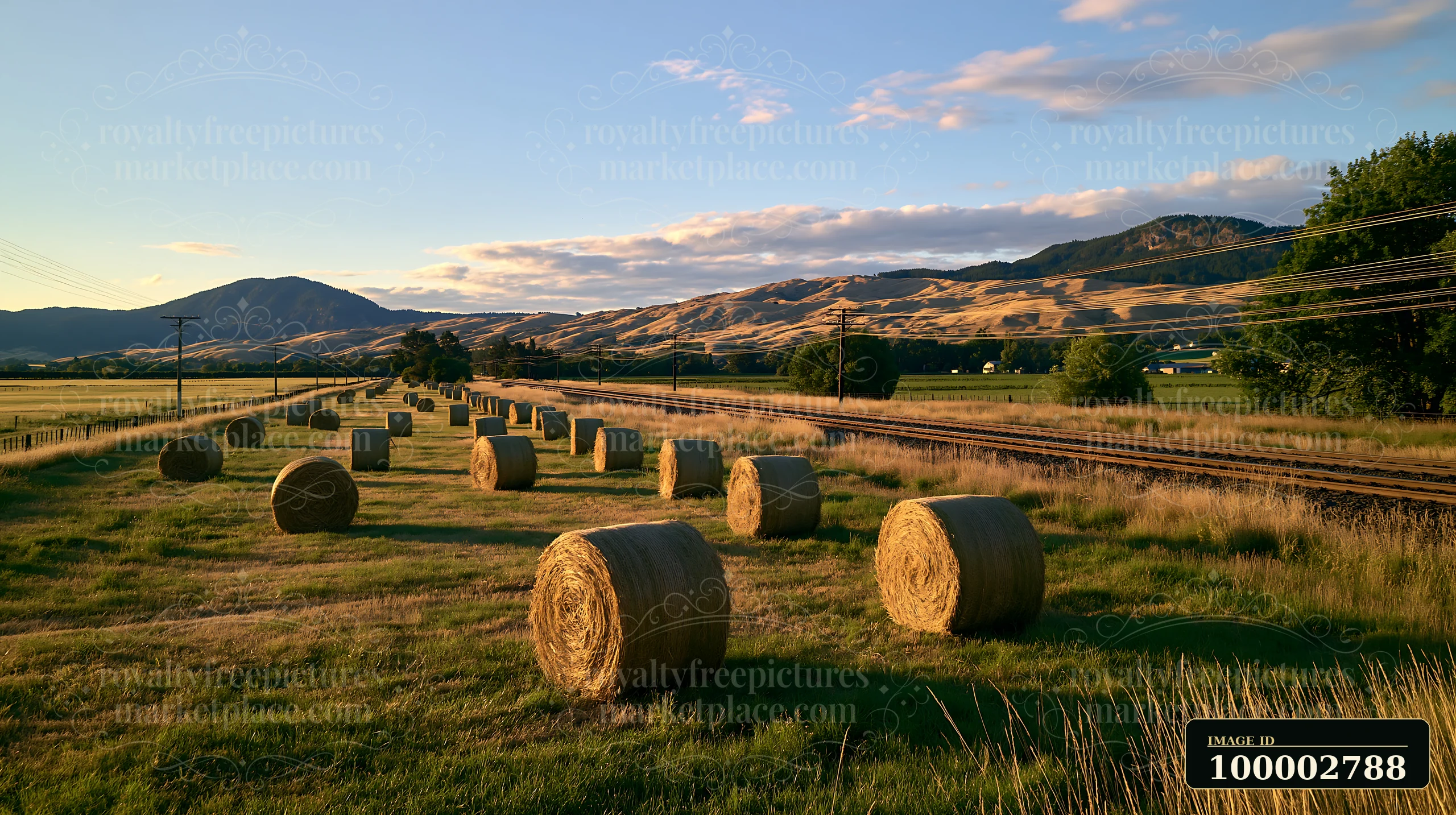 A meadow alongside railway tracks features round hay bales scattered across grass.