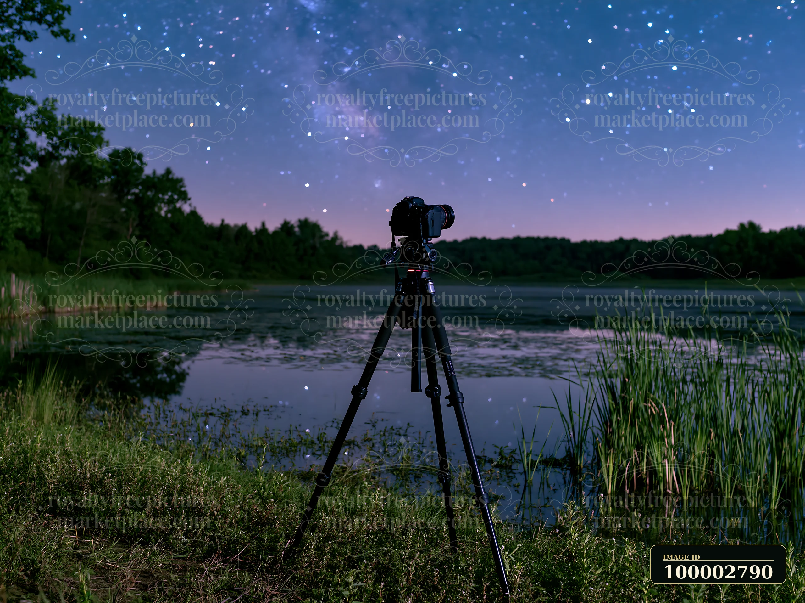 A camera tripod stands by the edge of a quiet lake, capturing the starry night sky.