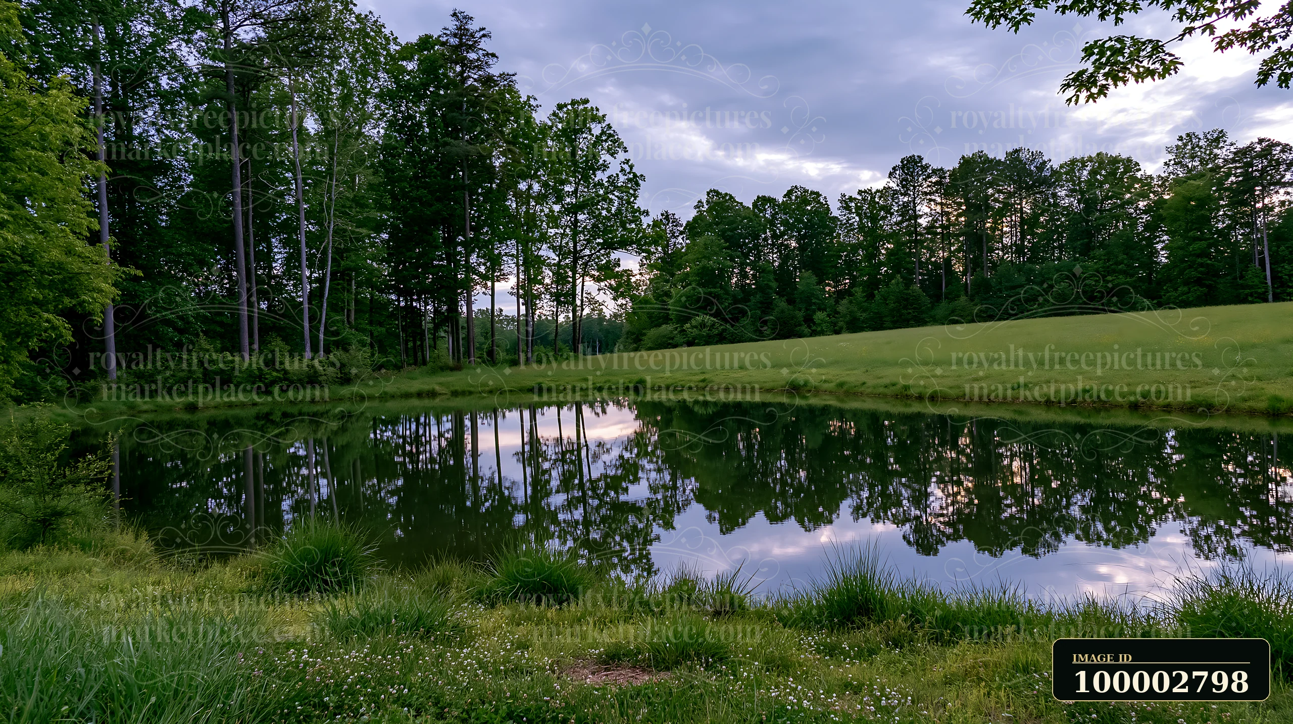 A tree line bordering a meadow reflects on a calm pond under a cloudy sky.