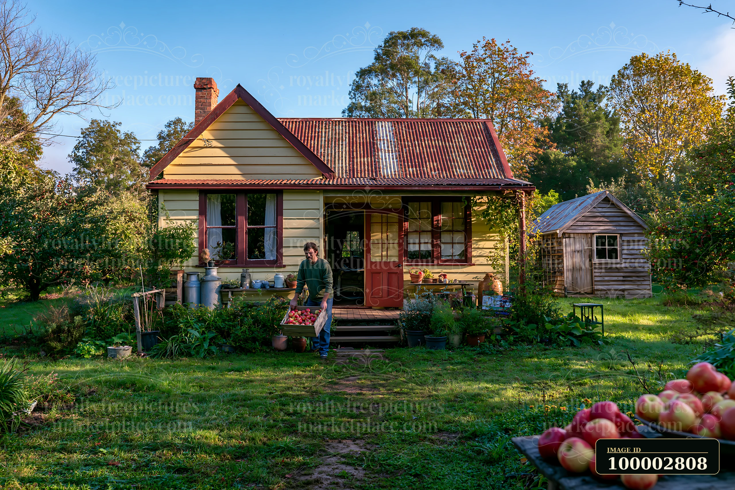 There is a country house with an open front door, a person walks outside carrying apples, and lush greenery surrounds the property indicating an active garden.