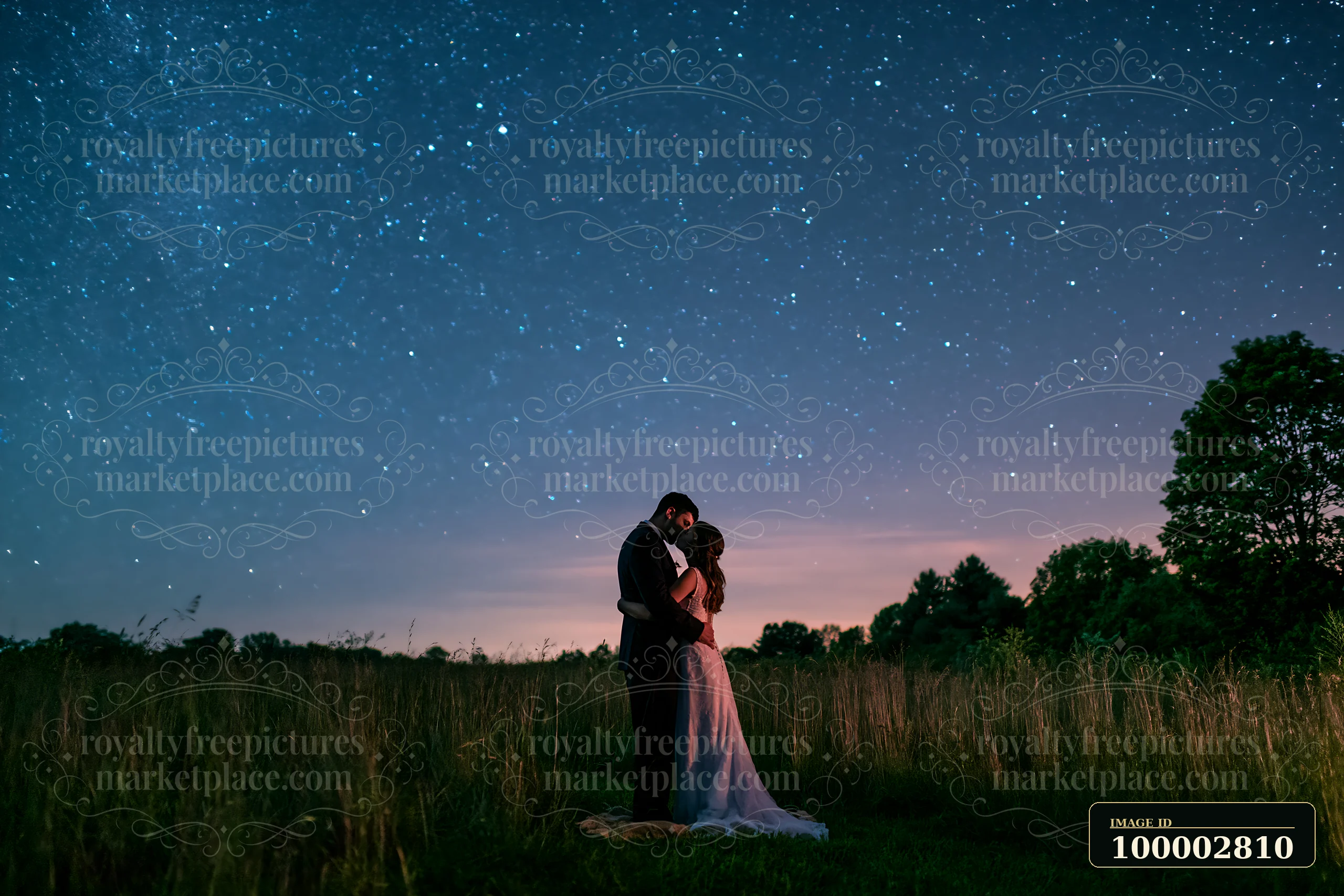 A wedding couple is kissing in a field under a star-filled sky at night.