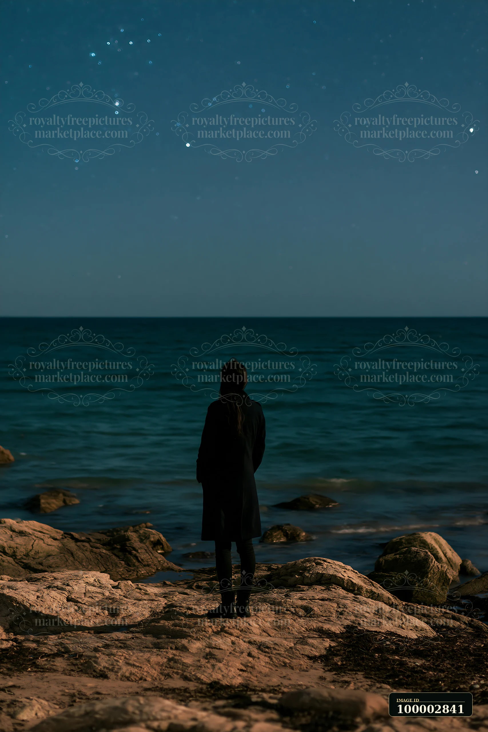 A person stands on rocky shore, looking at the starry night over a calm ocean.