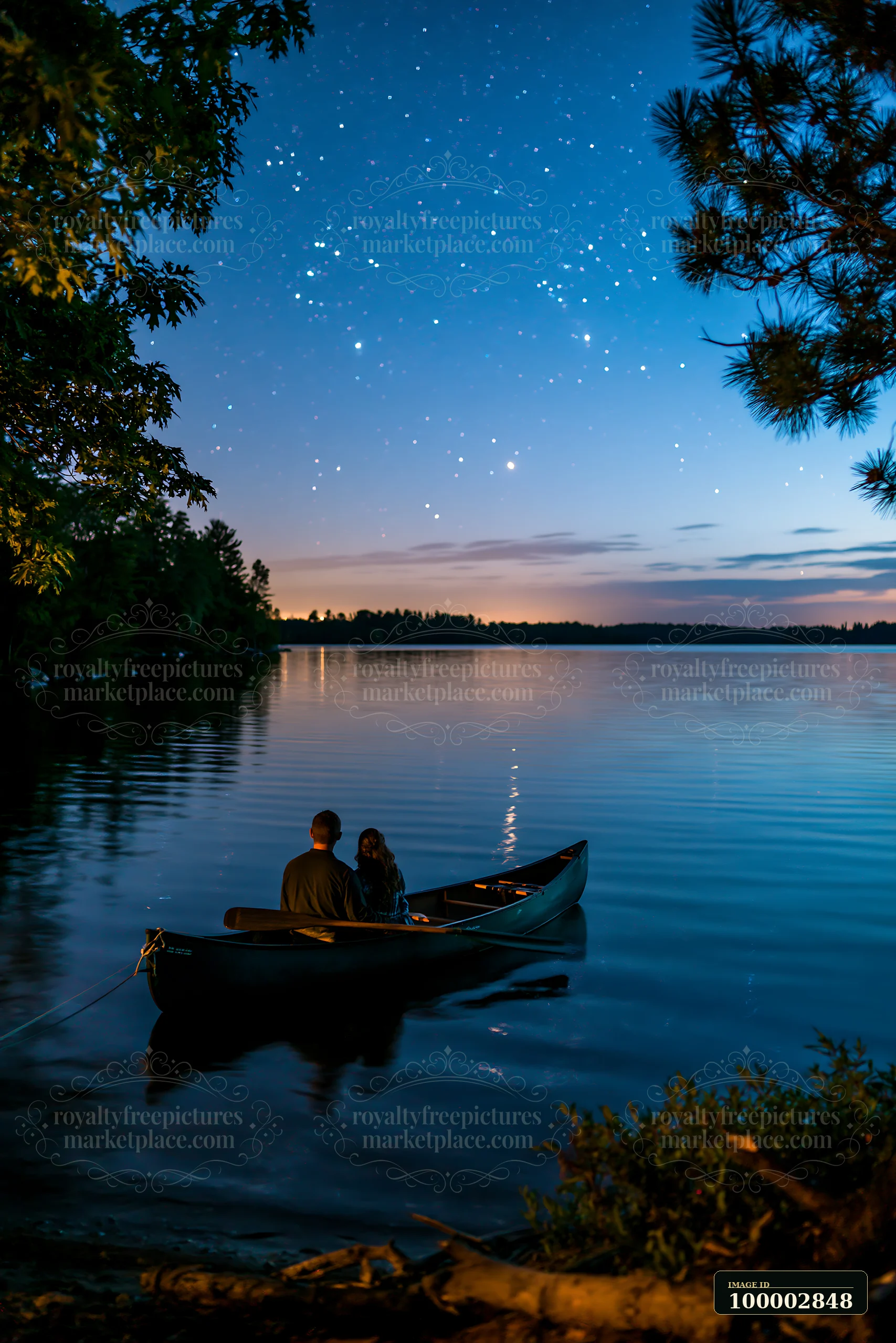 A couple watching stars beside a lake sits in a canoe.