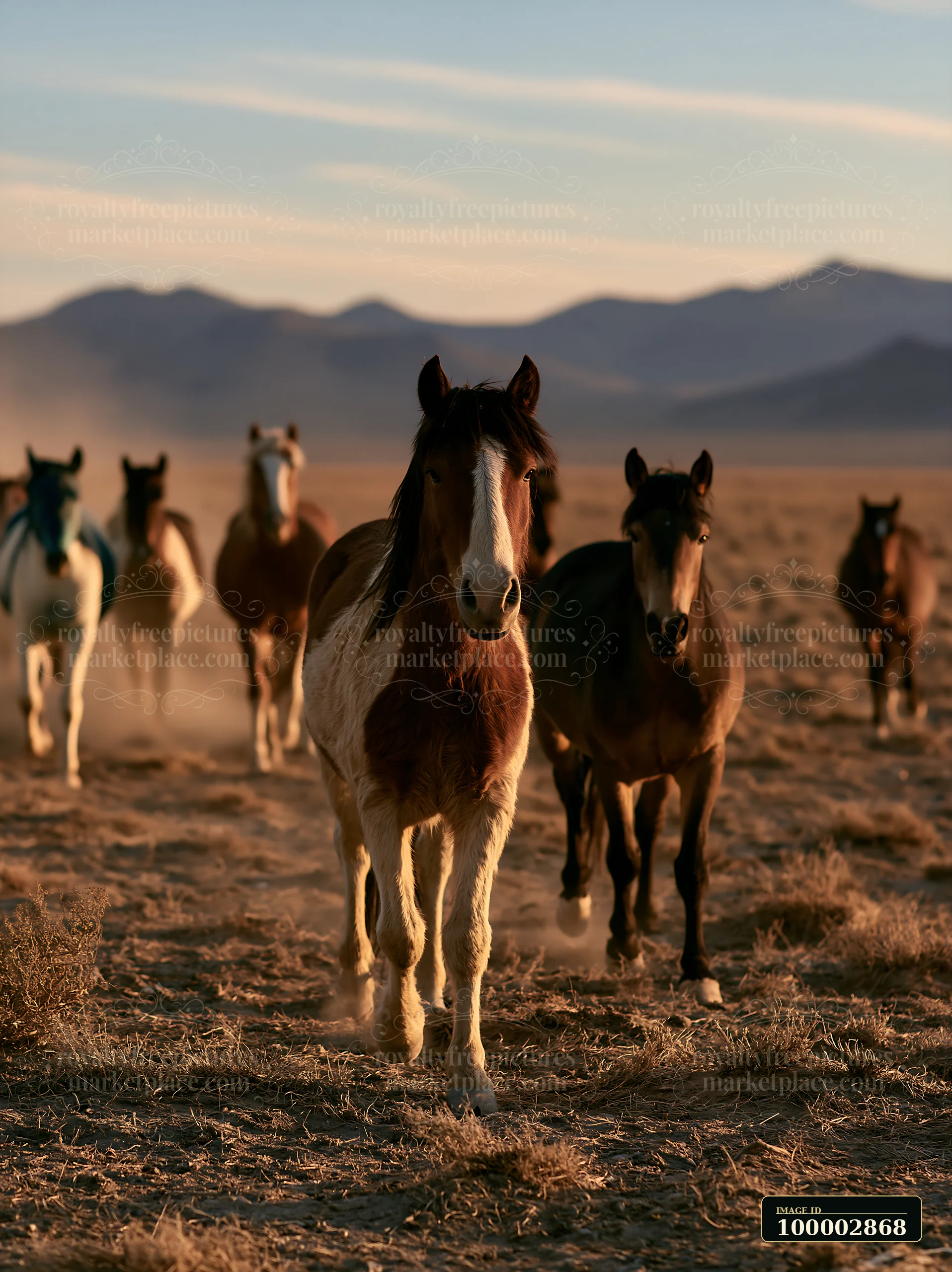 Wild horses run across a dusty desert plain during sunset.