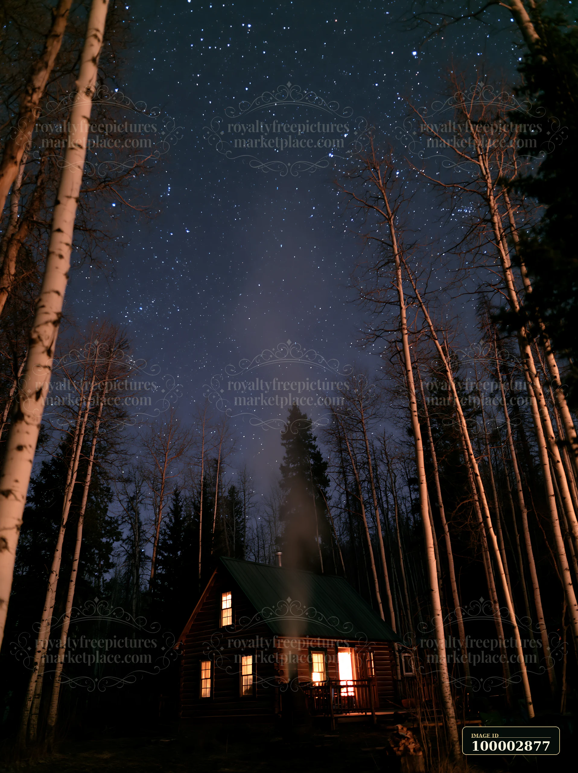 A cabin with smoke rising under stars stands surrounded by tall trees at night.