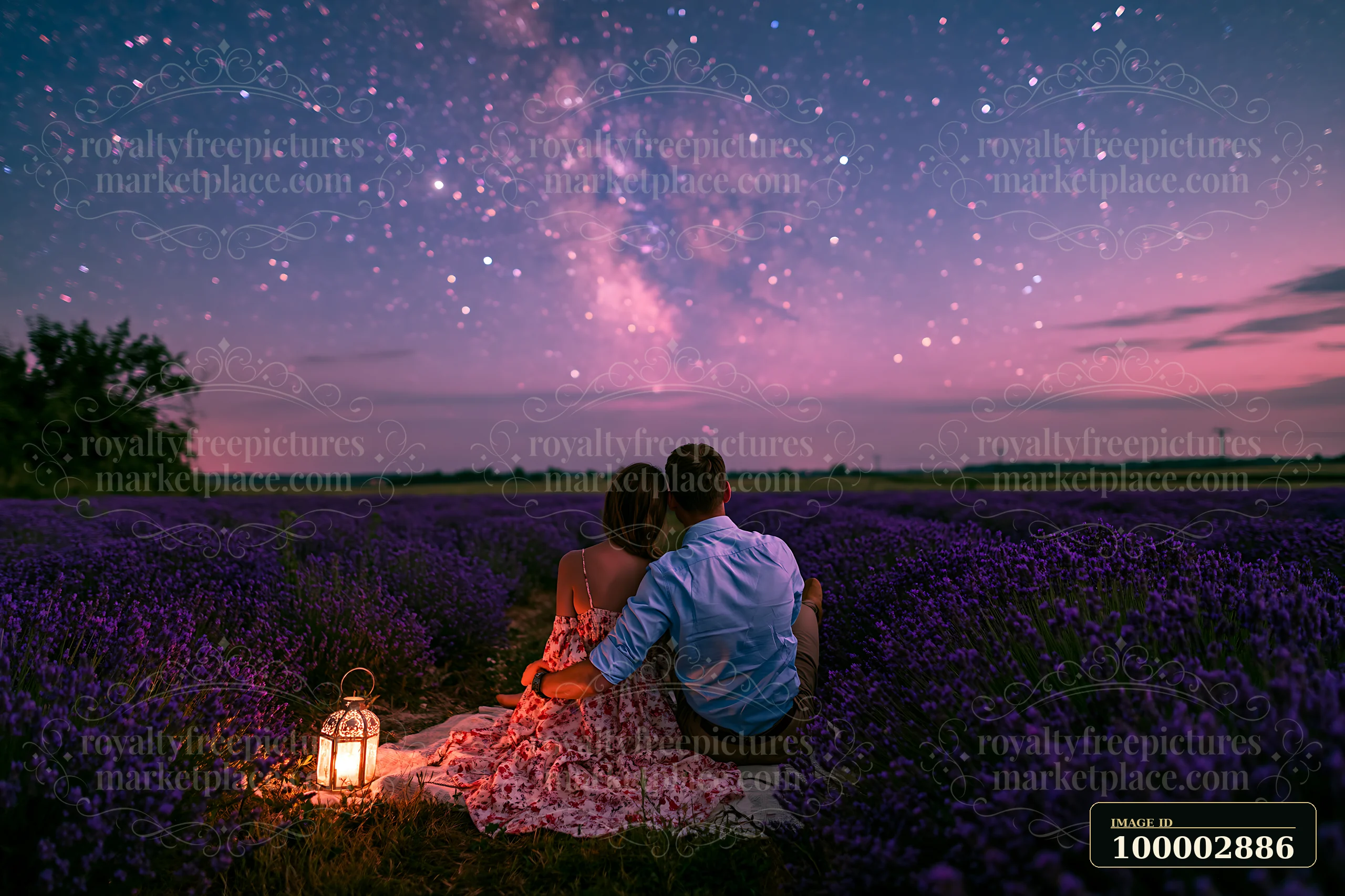 A couple under stars in a lavender field sits close together, overlooking the blooming flowers.