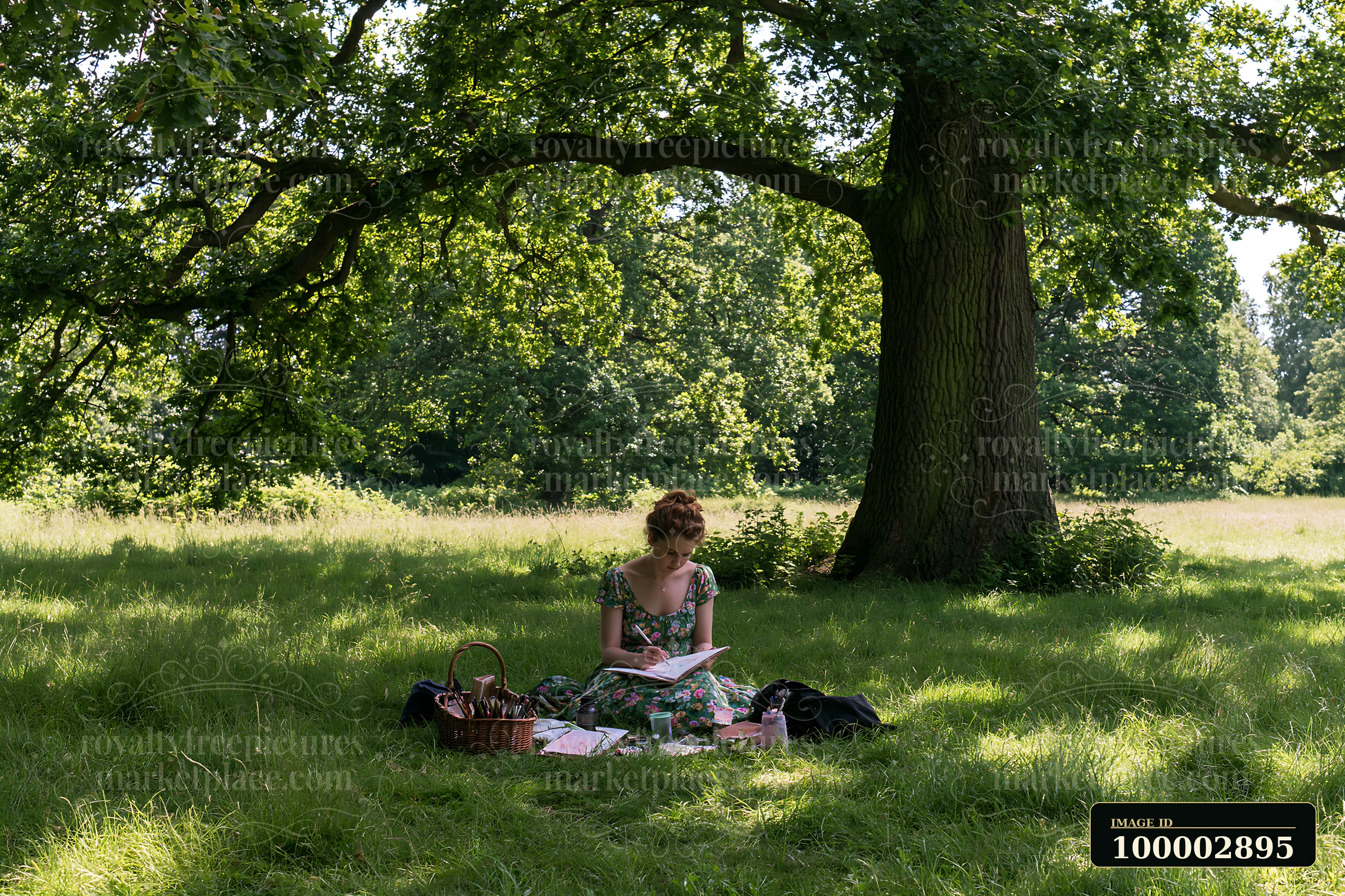 A woman sits on the grass in a meadow, sketching with tools nearby.