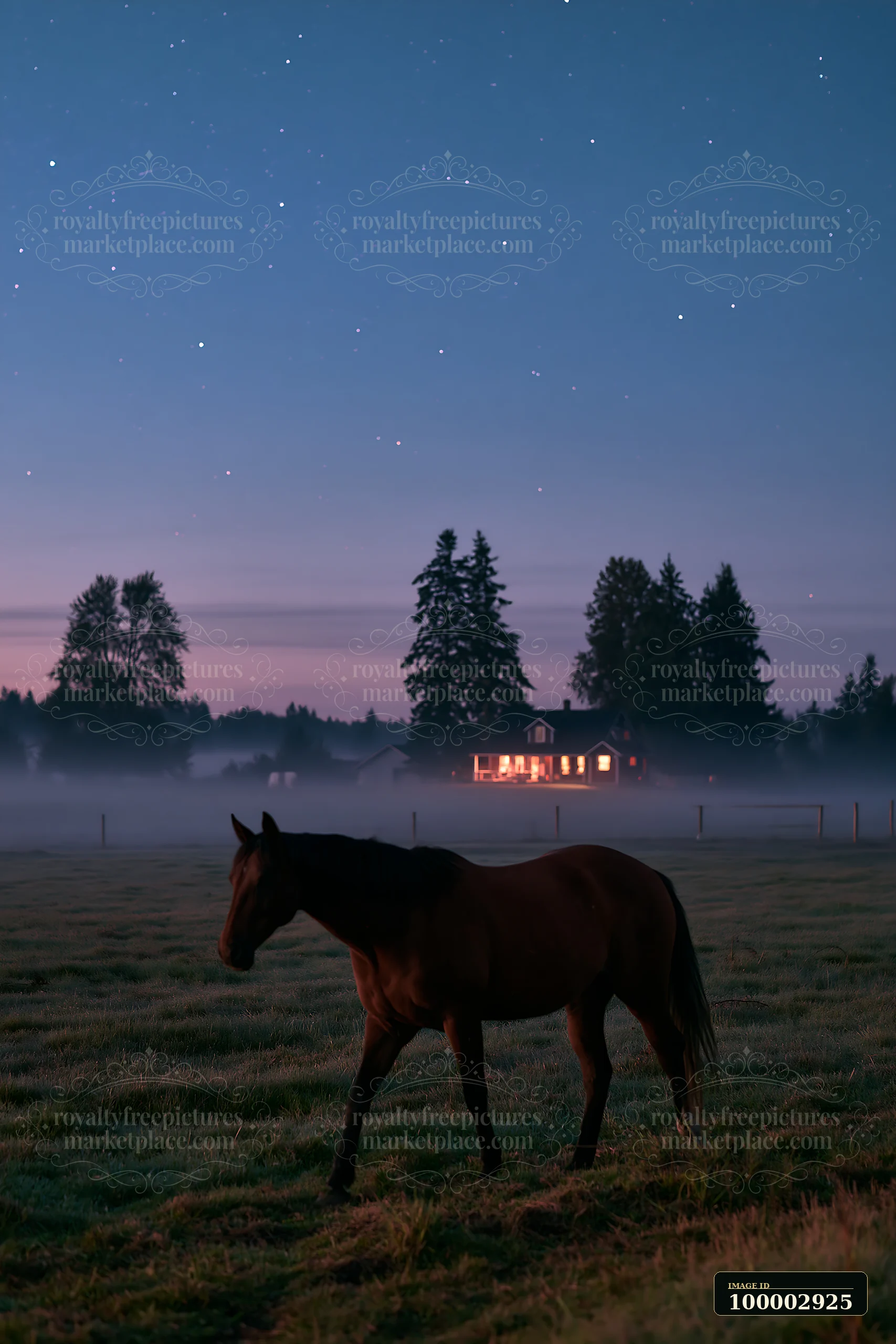 Horses crossing a field beneath stars move slowly in the misty evening.