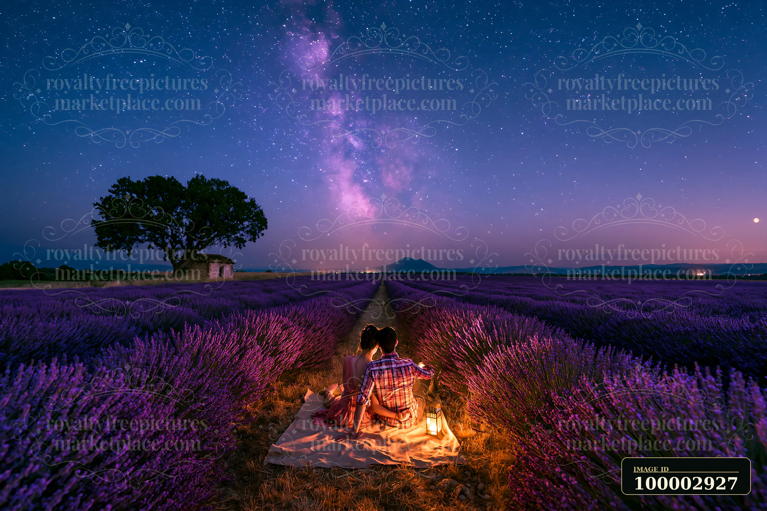 A couple sits together on a blanket in a lavender field, looking up at stars in the night sky.
