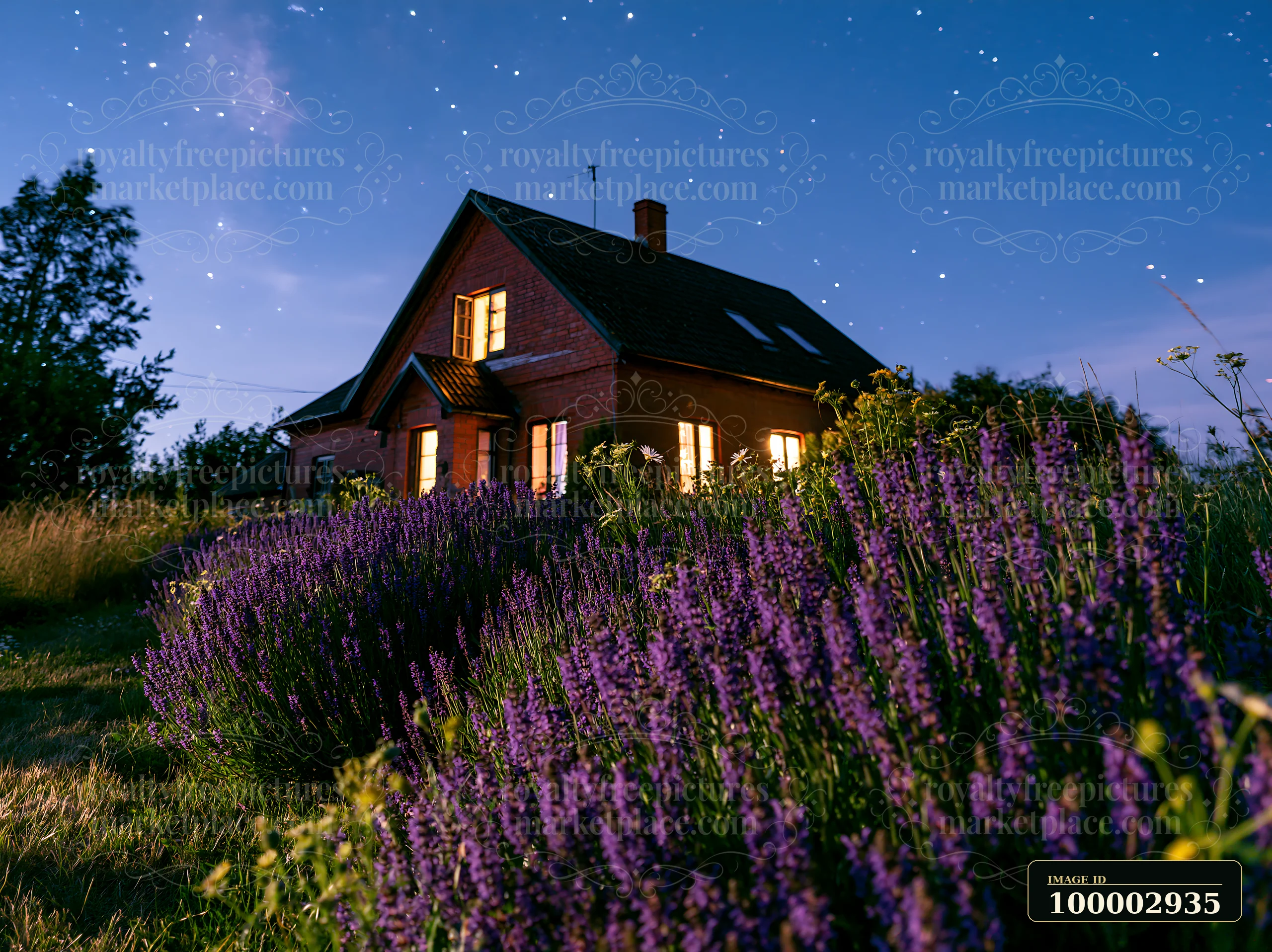 A house with illuminated windows sits under a starry sky, surrounded by wildflowers in the foreground.