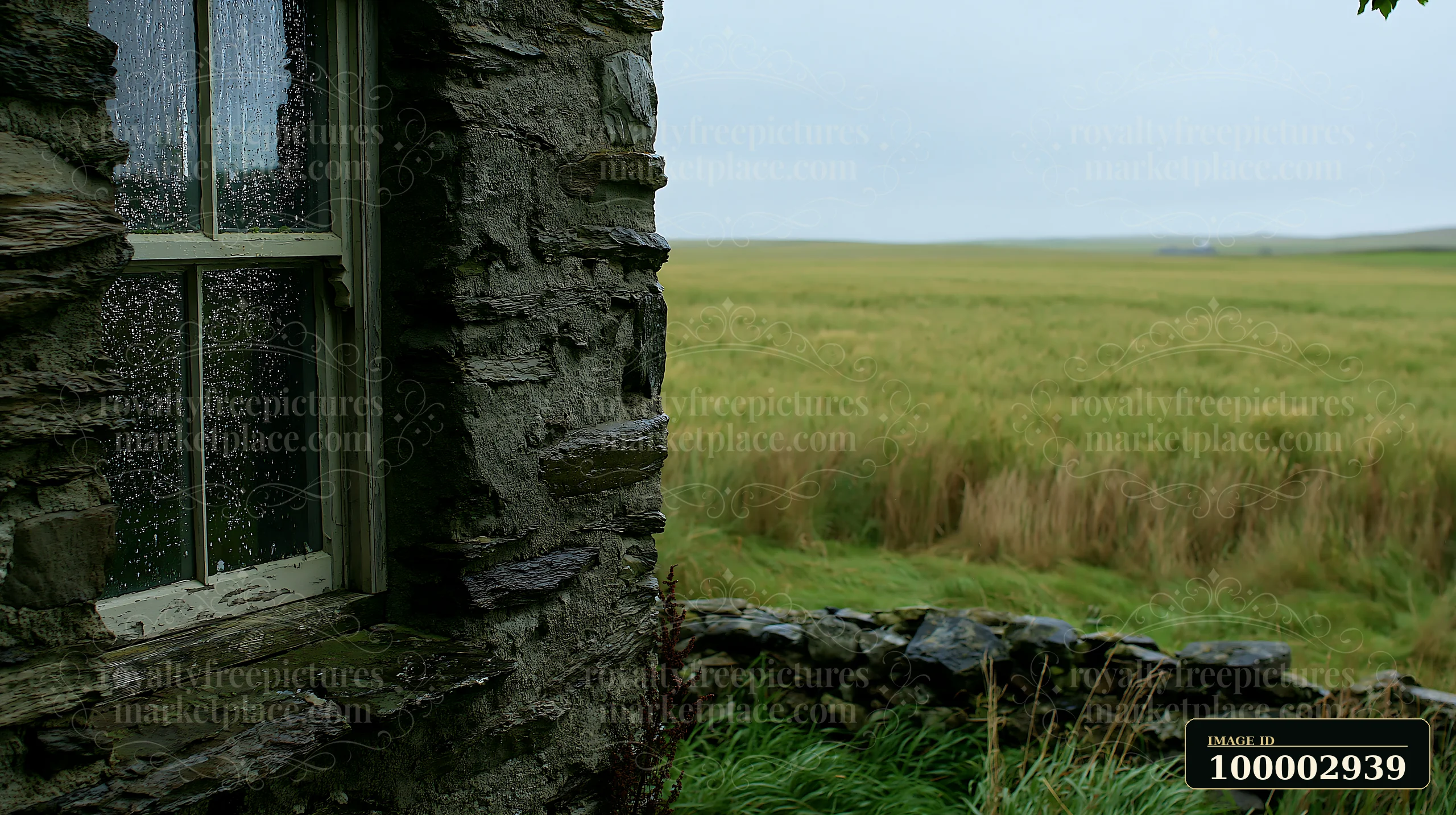 Raindrops splash on the window of a small stone cottage, offering a glimpse into green fields beyond.