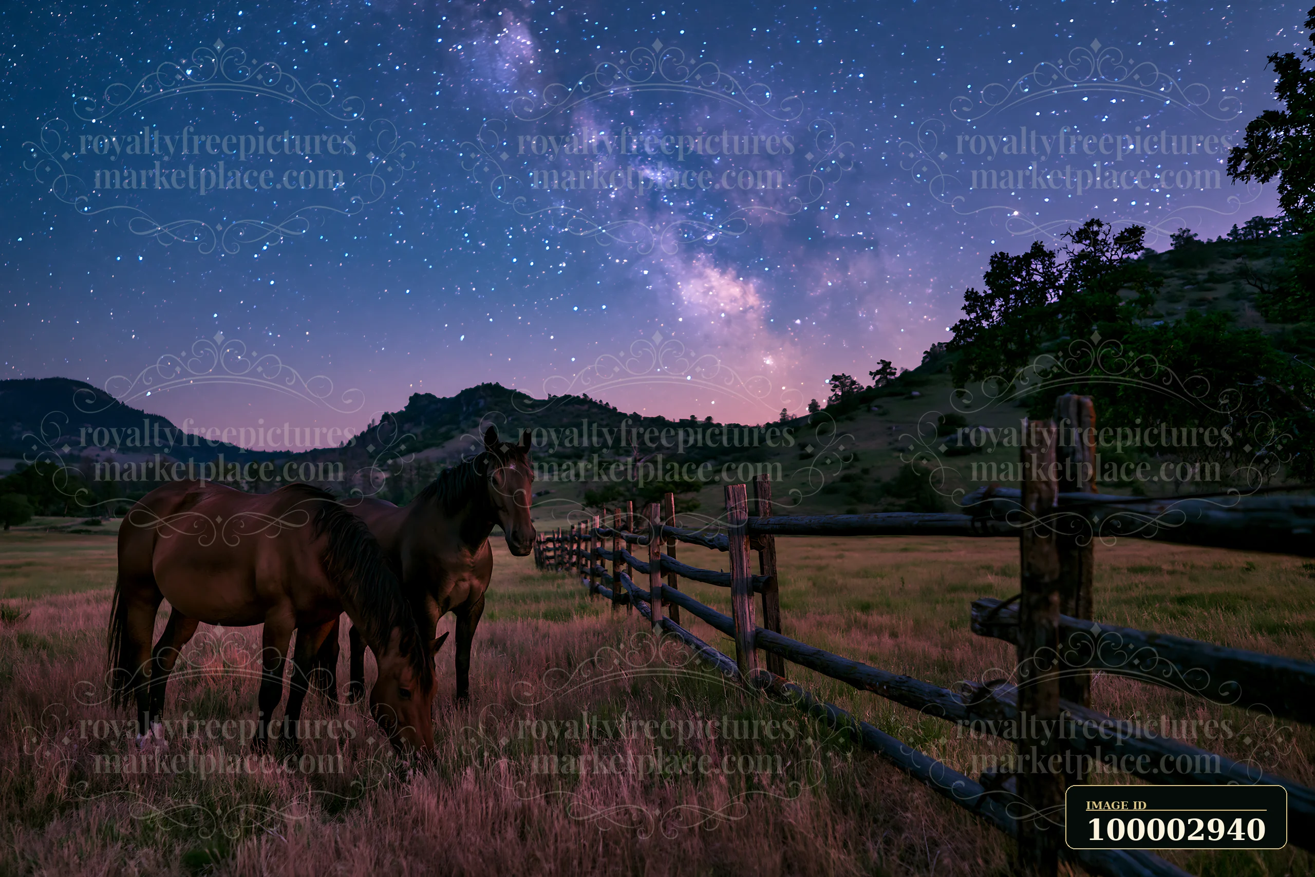 Two horses graze in a grassy field under a starry sky filled with visible constellations.