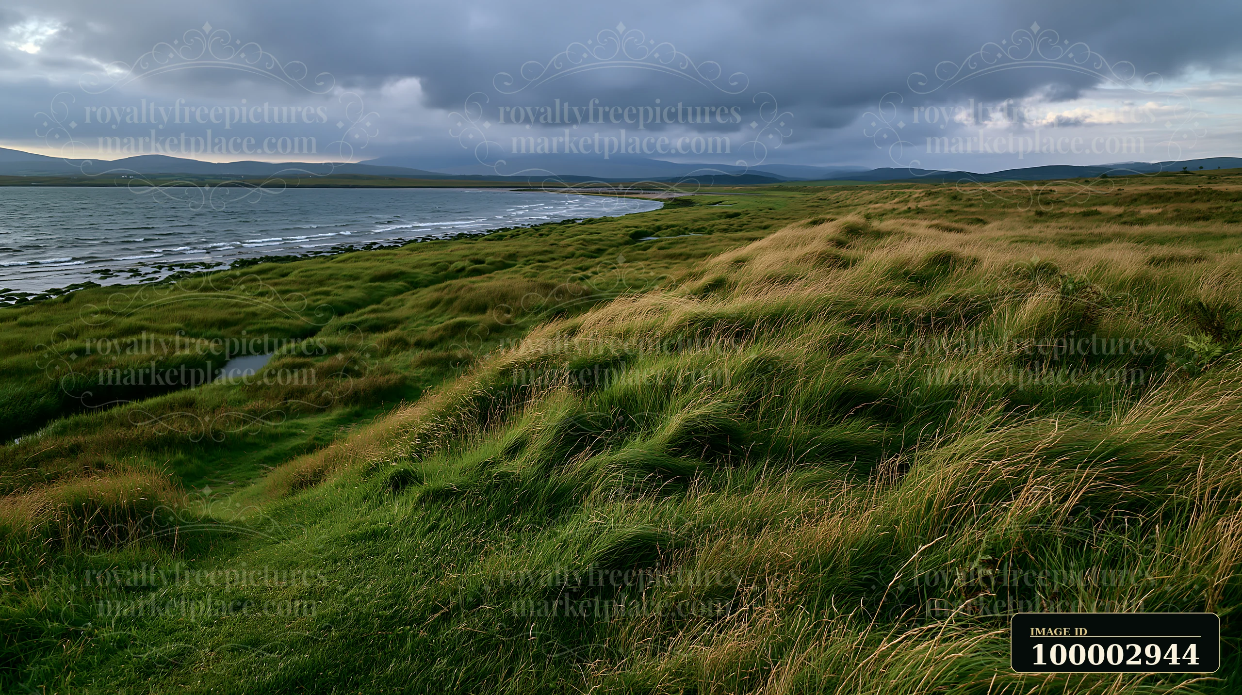 Grass-covered hills slope down to a coastline with salt marsh along the water.