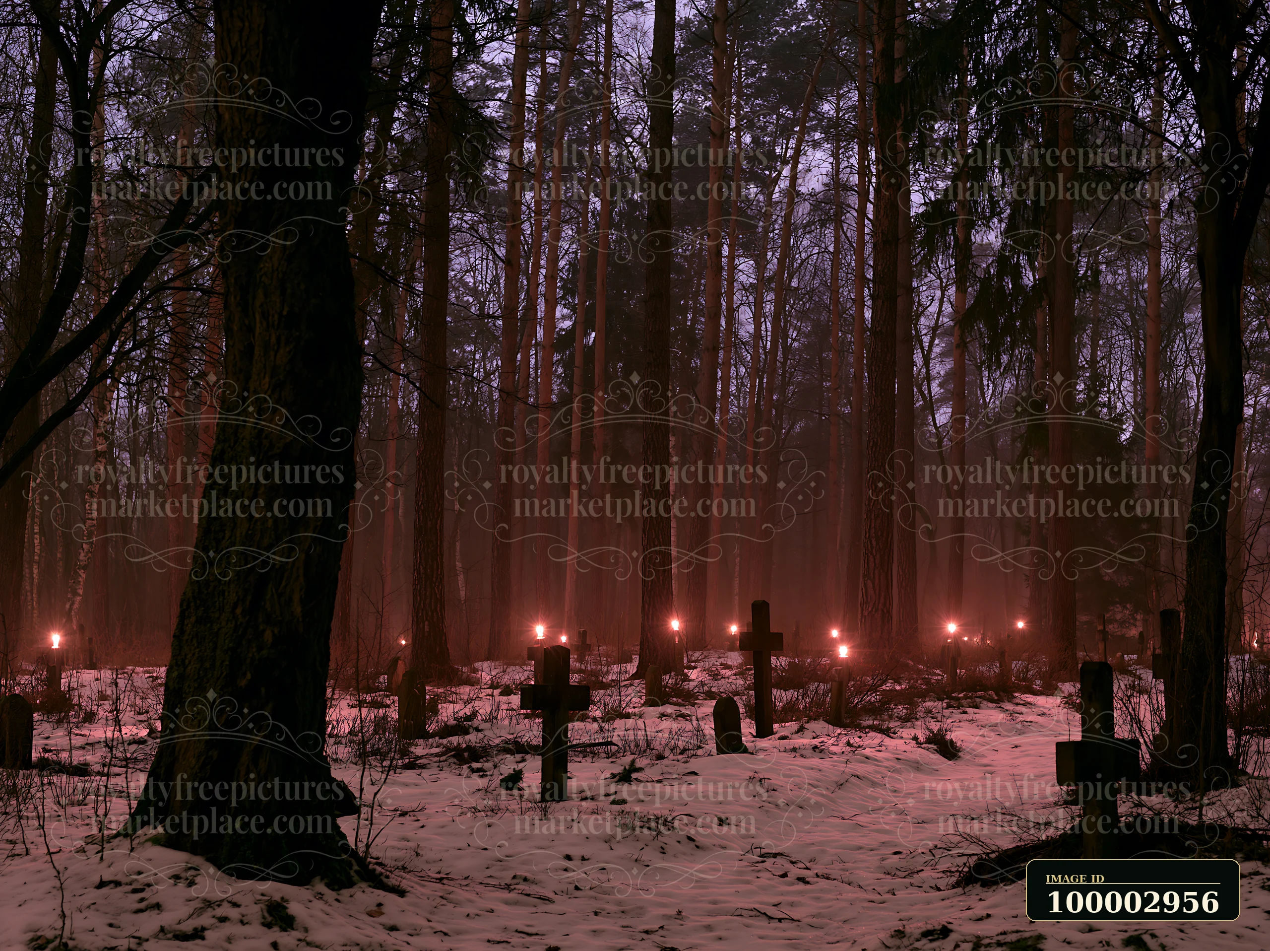 Military graves beside a forest at night are marked by candles illuminating the surrounding area.