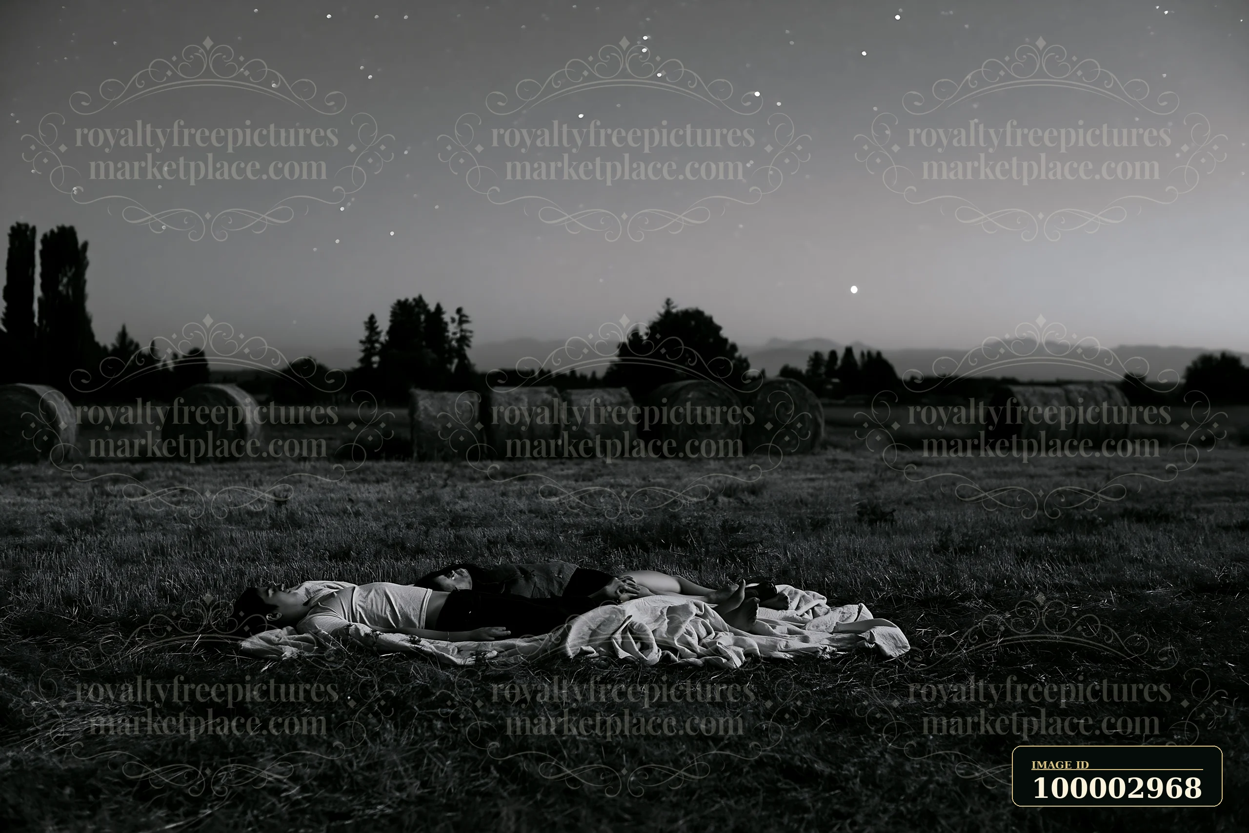 A couple lying on a blanket beneath stars in an open field during nighttime.