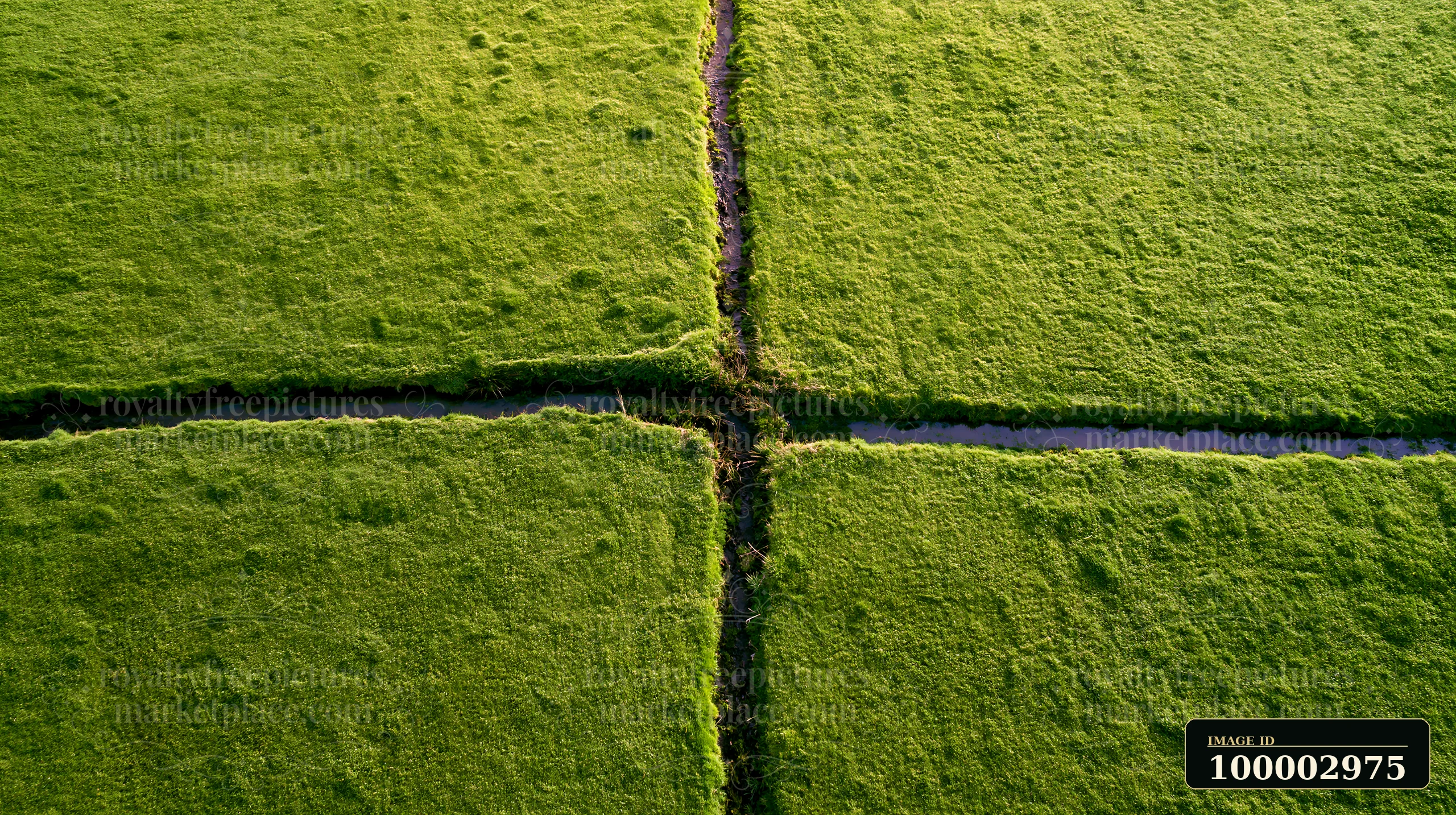 A lush green meadow segmented by narrow water channels, highlighting the intricate patterns formed by the terrain.