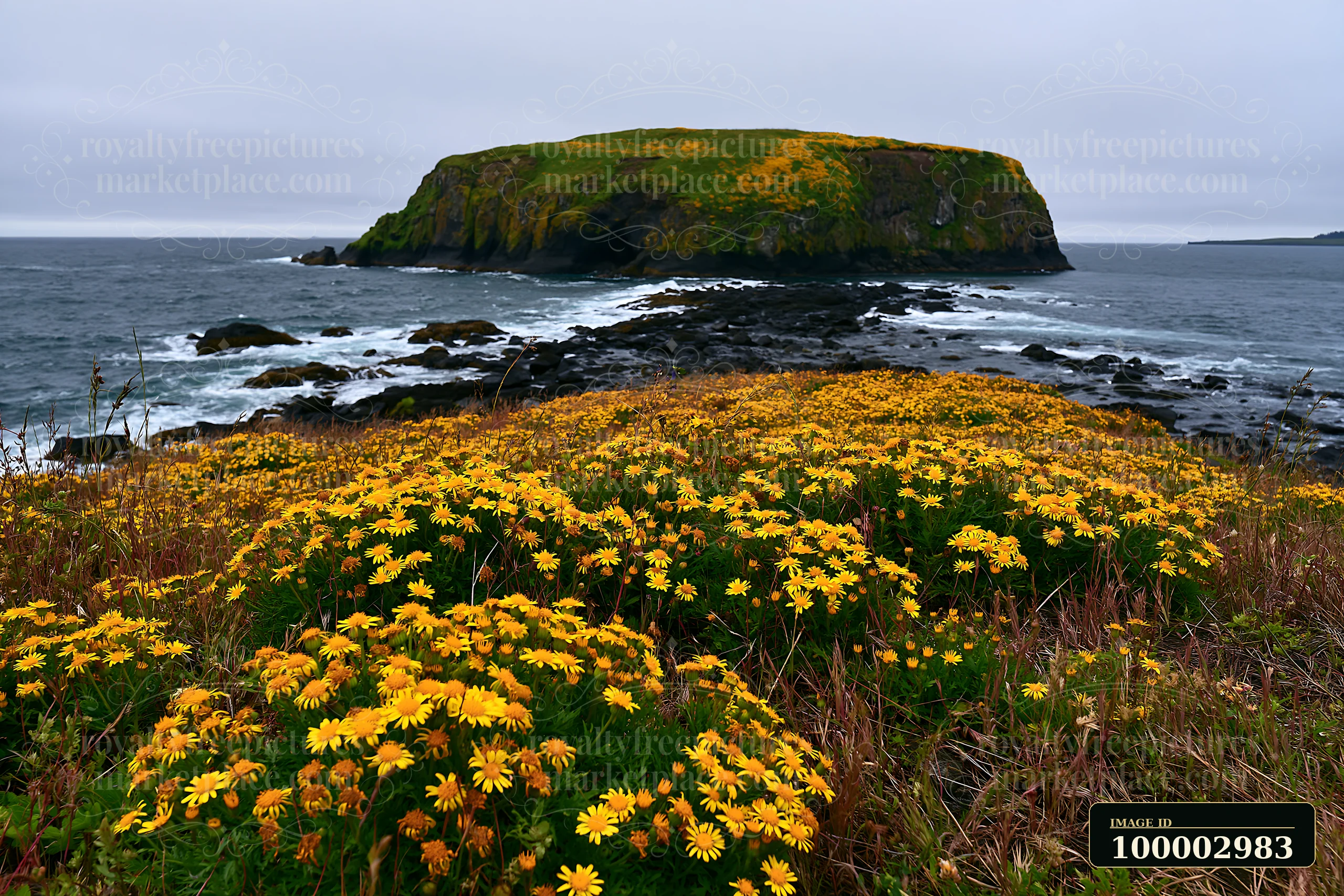A flower-covered island stands out against a cloudy sky by the sea.