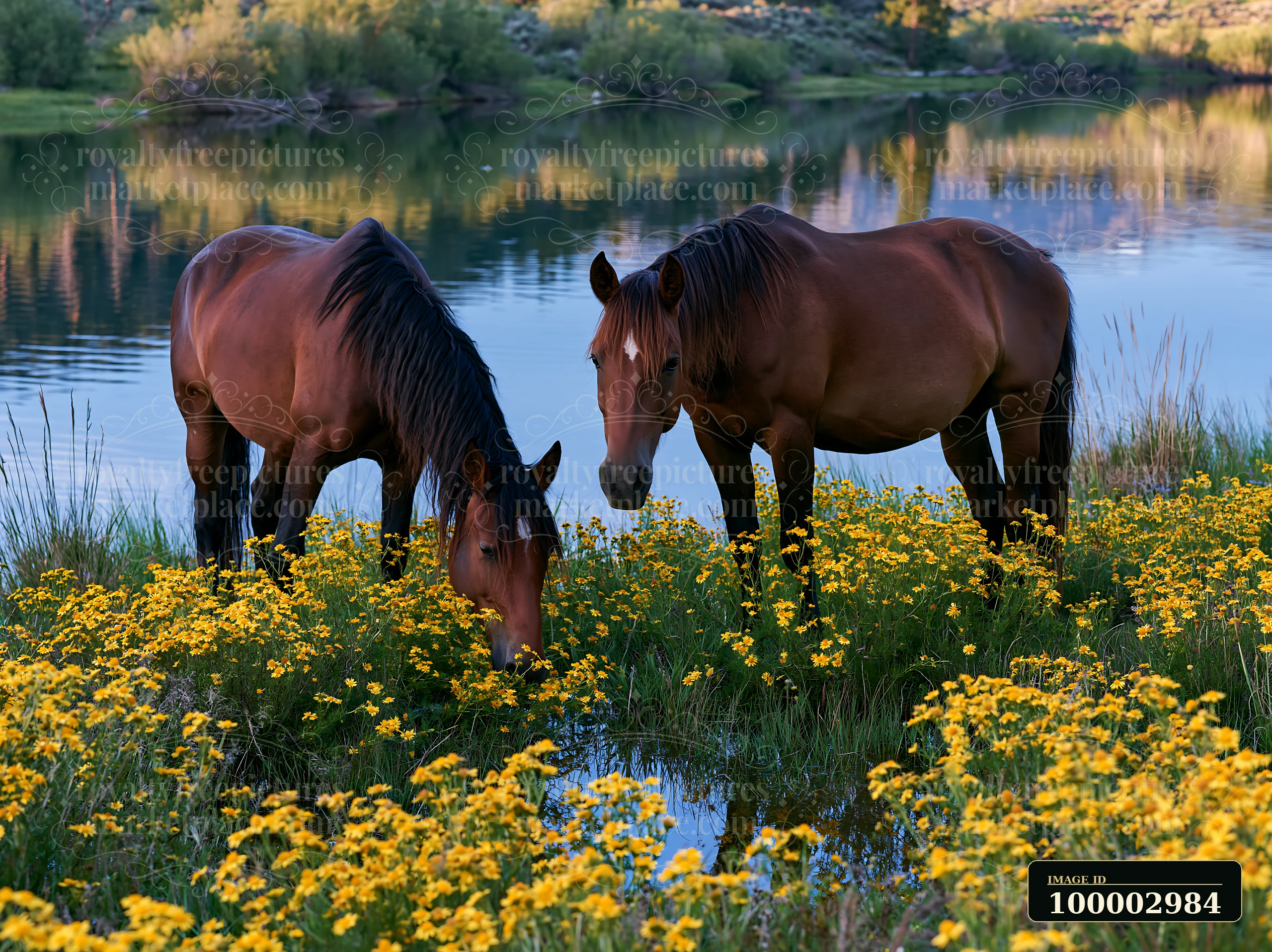 Two wild horses graze near vibrant wildflowers along the edge of a calm lake.