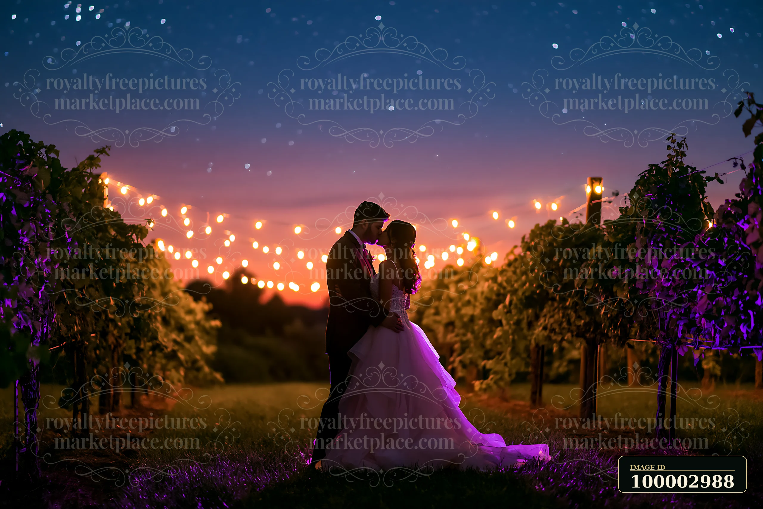 A wedding couple kissing under a star-filled sky stands in a vineyard with string lights glowing behind them, creating a romantic atmosphere as the sun sets in