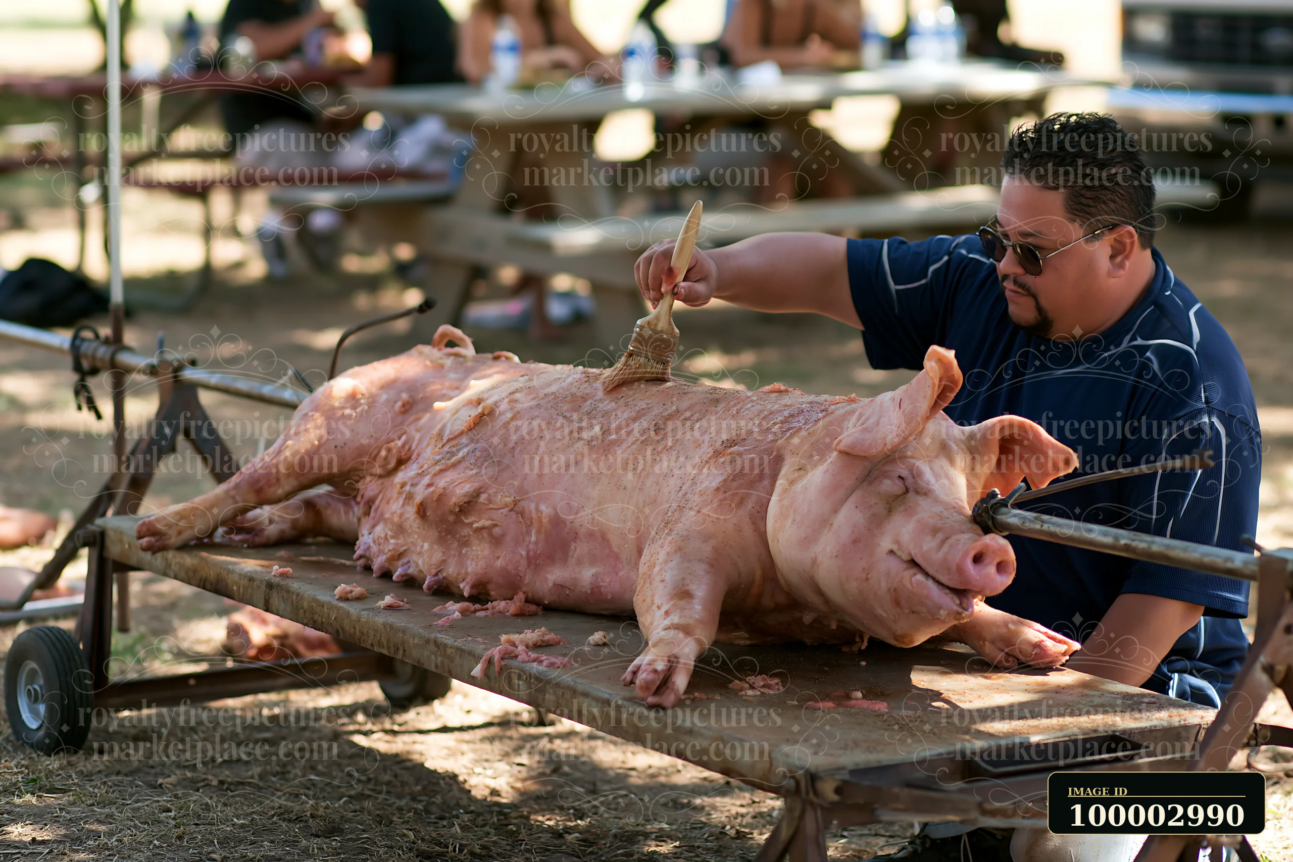 A man brushes marinade on a fresh pig prepared for spit roasting in a backyard setting.