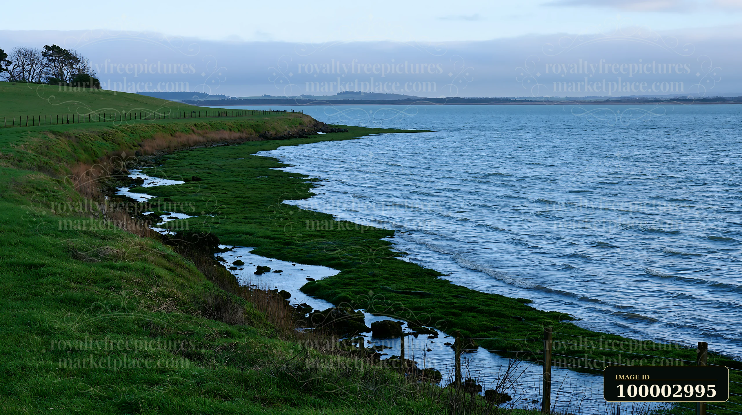 A grassy coastline meets the water with visible oyster beds along the shore.