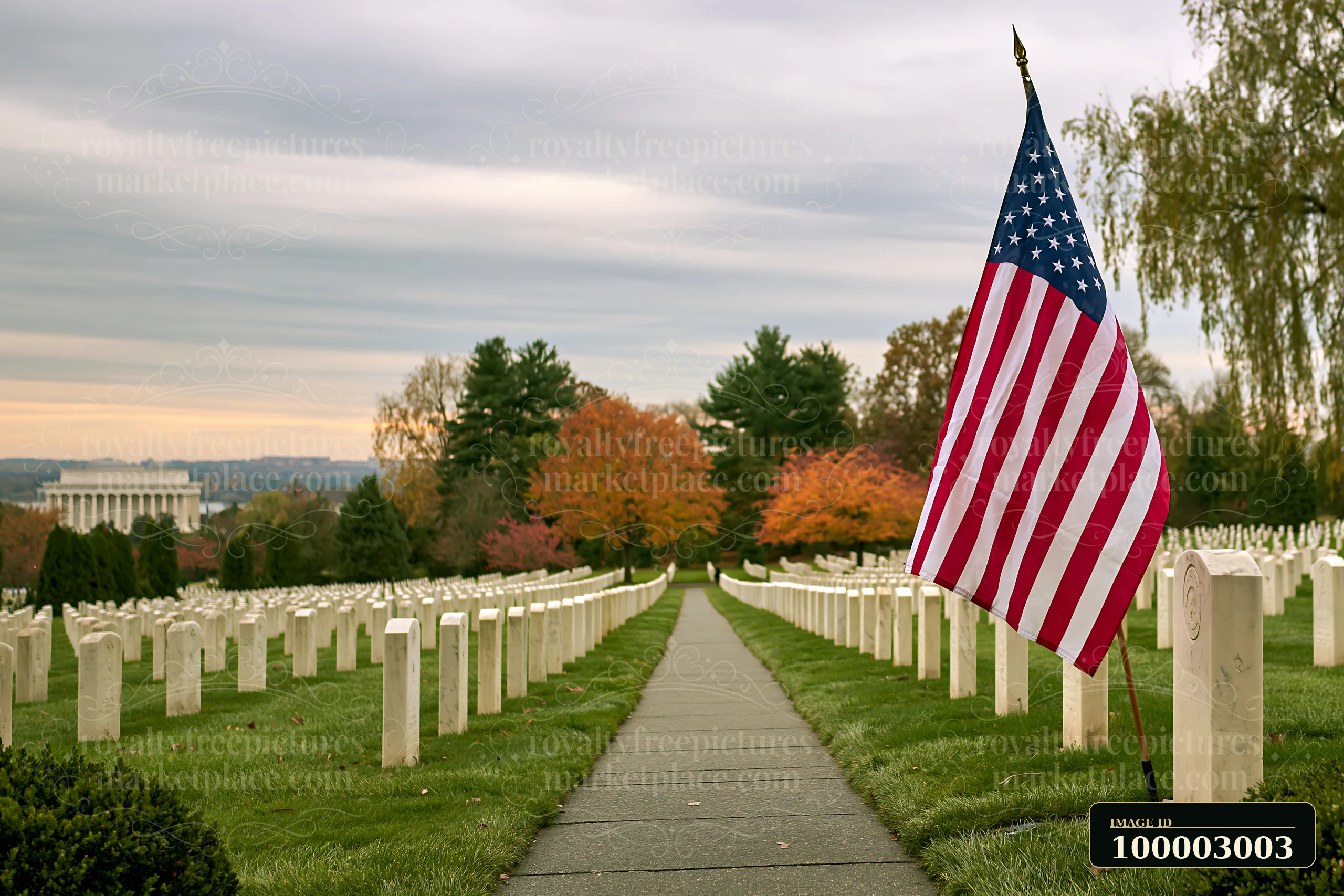 An American flag stands beside a path lined with gravestones in Arlington Cemetery.
