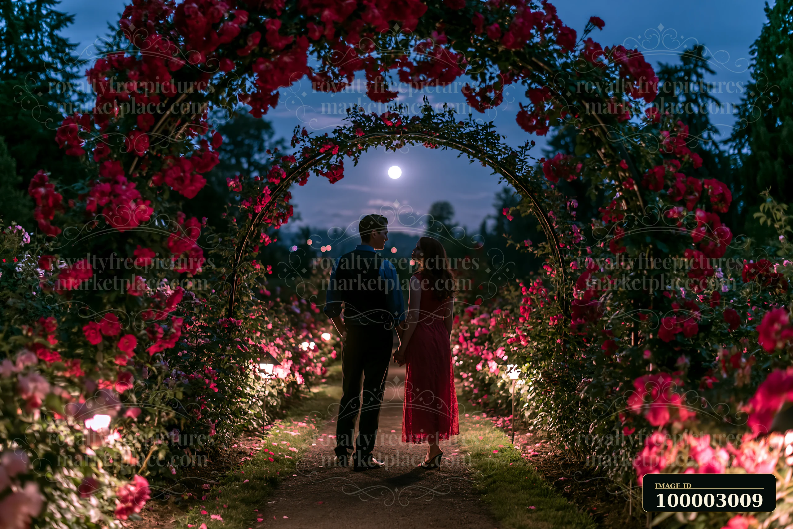 A couple stands in a rose garden surrounded by blooming flowers at night.