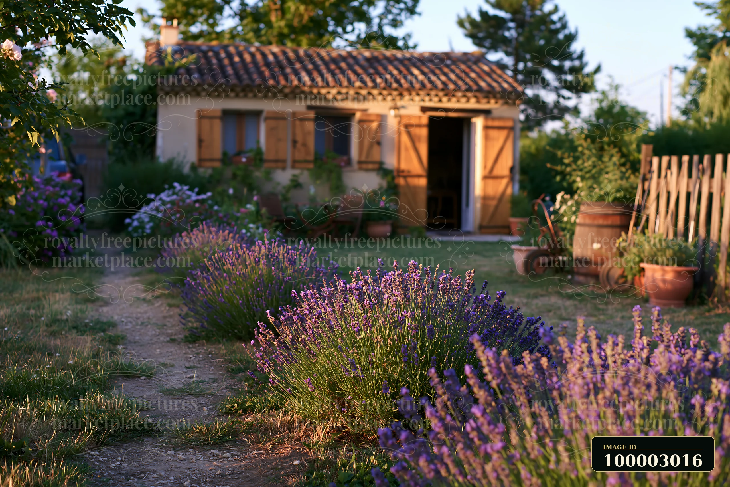 This rustic house with wooden shutters rests in a garden filled with lavender.