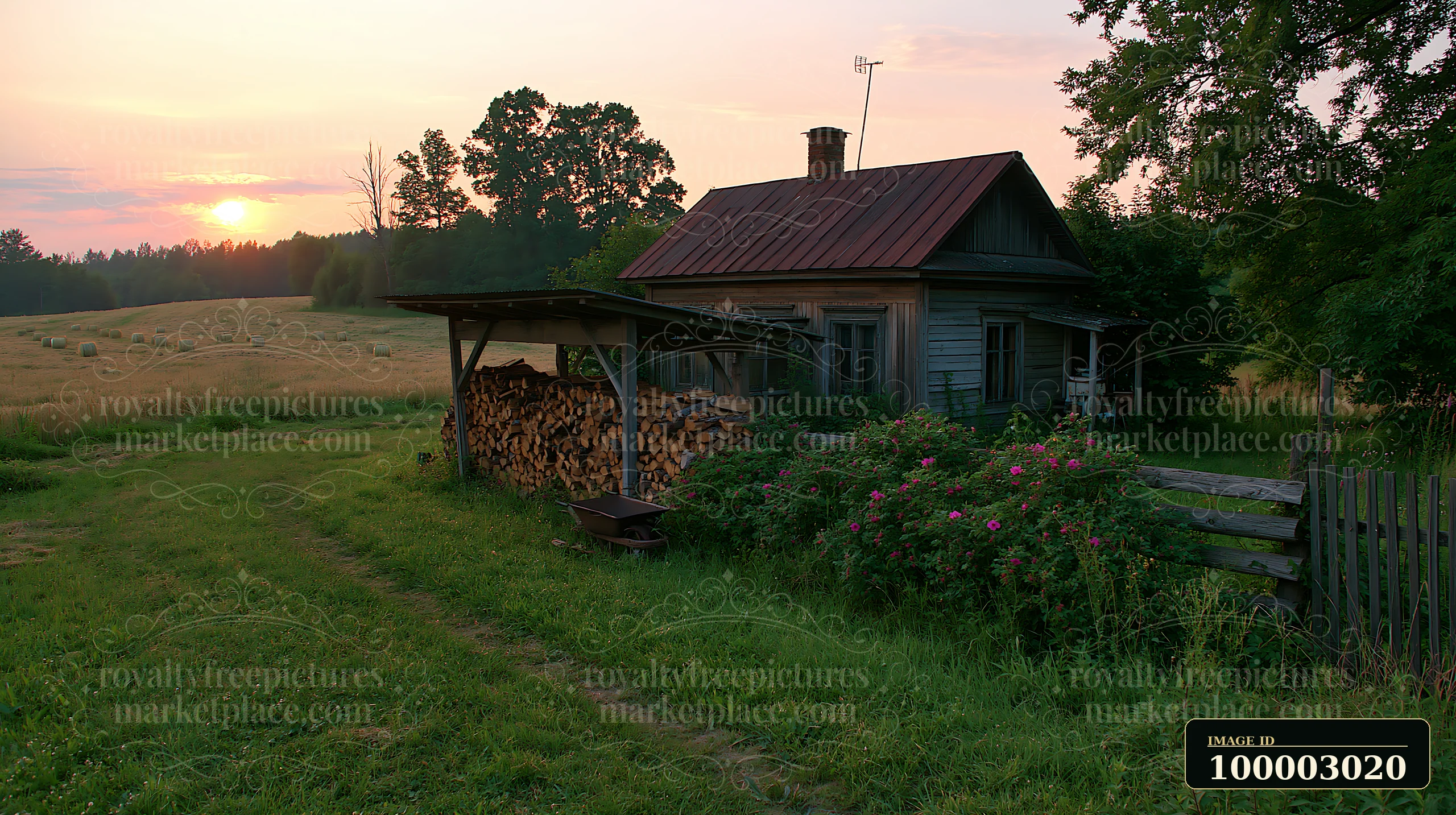 A rural cottage with firewood stack sits beside a field during sunset.
