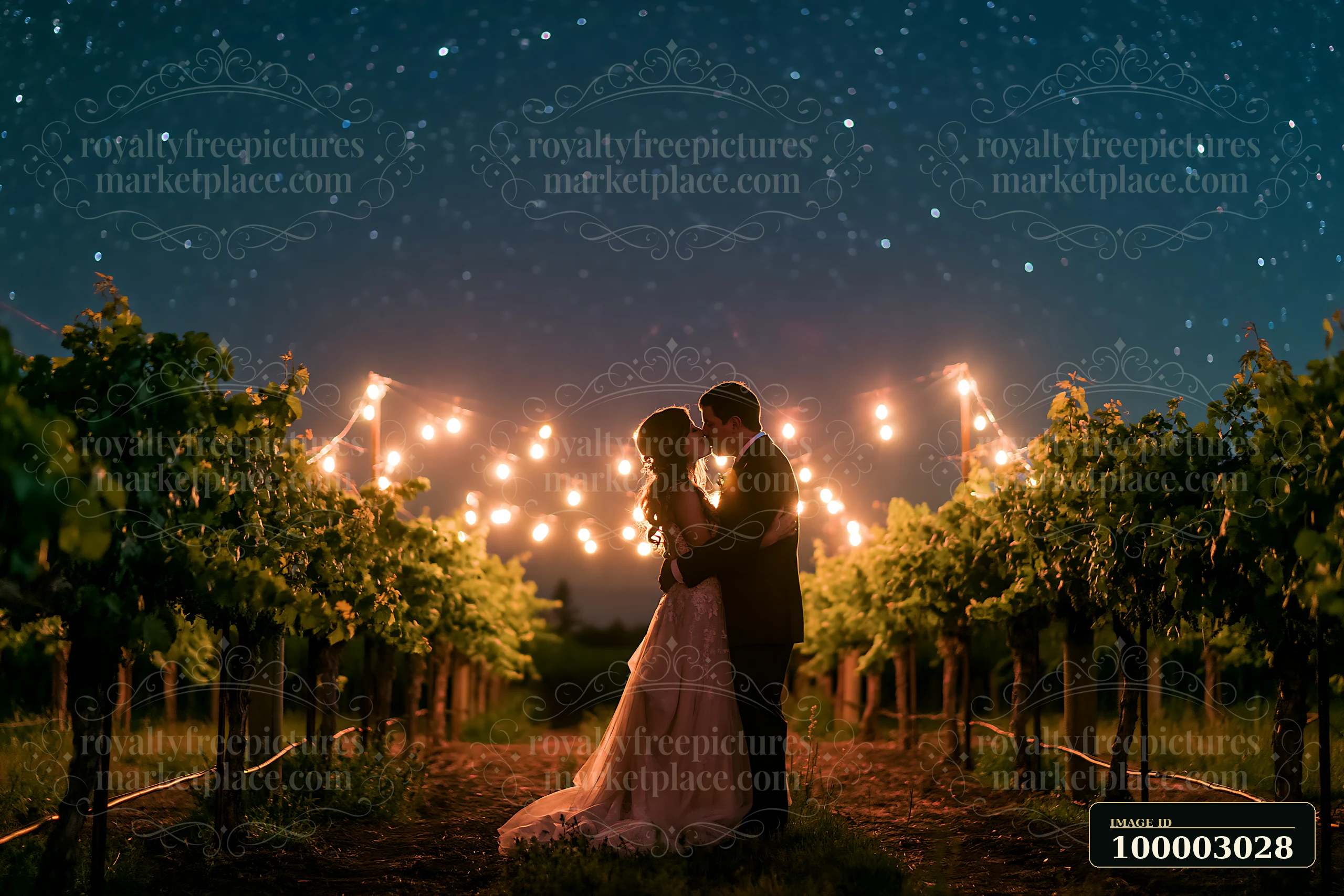 A couple stands closely together, sharing a kiss beneath a sky filled with stars.