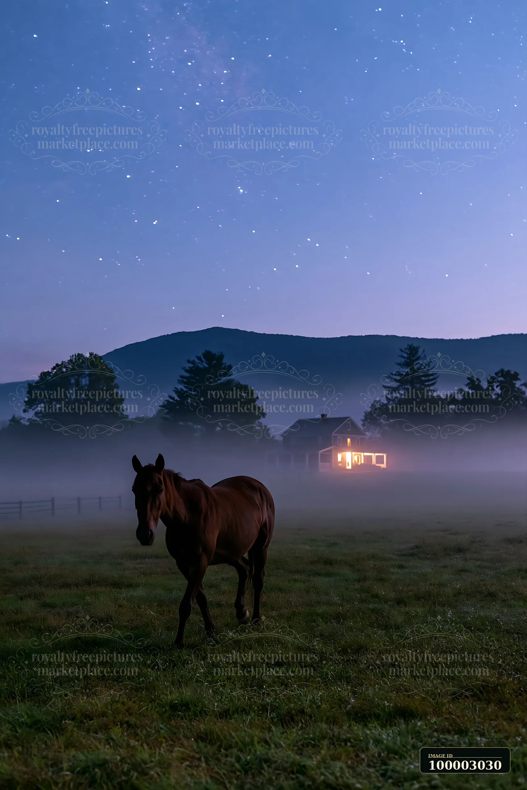 Horses crossing a field beneath stars in the night sky with a faint mist rising.