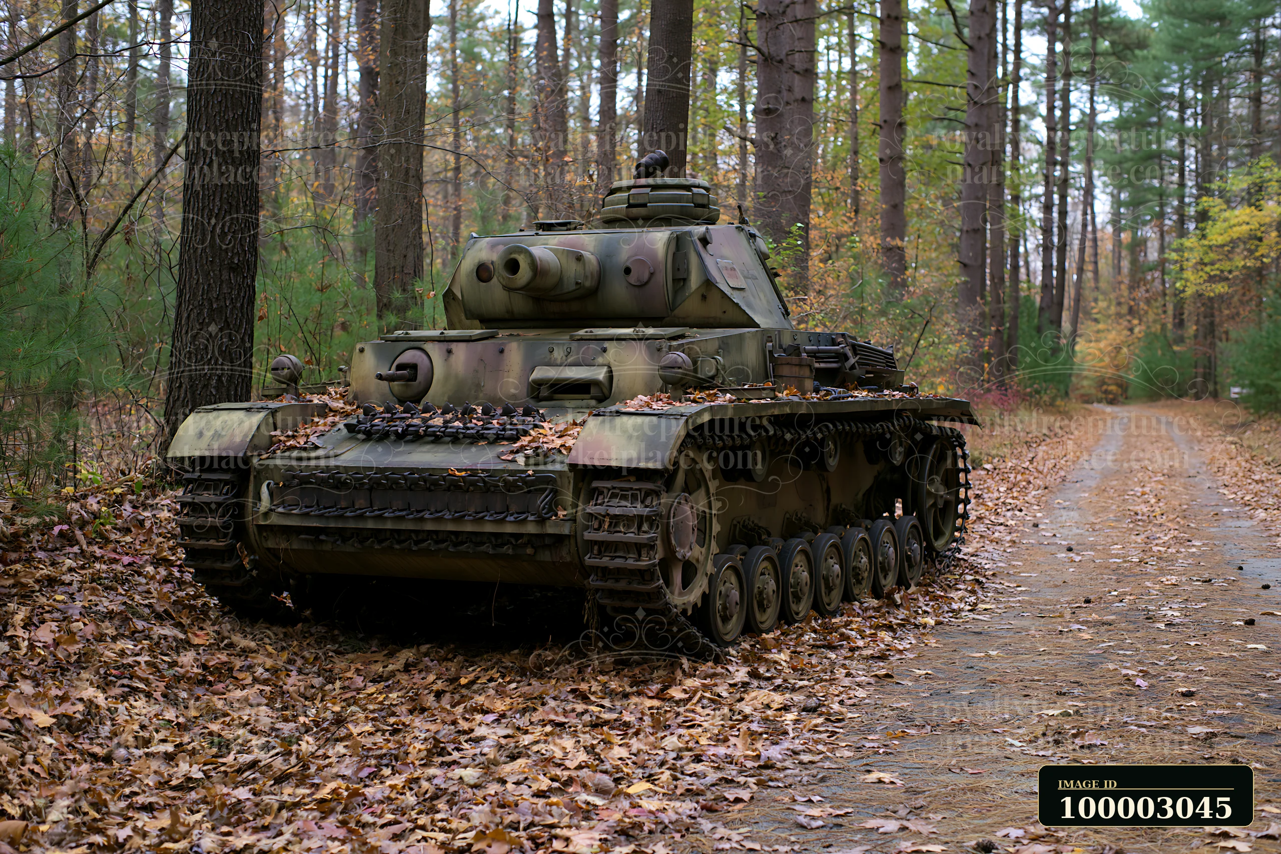 A panzer tank in autumn forest sits among fallen leaves on a dirt path.