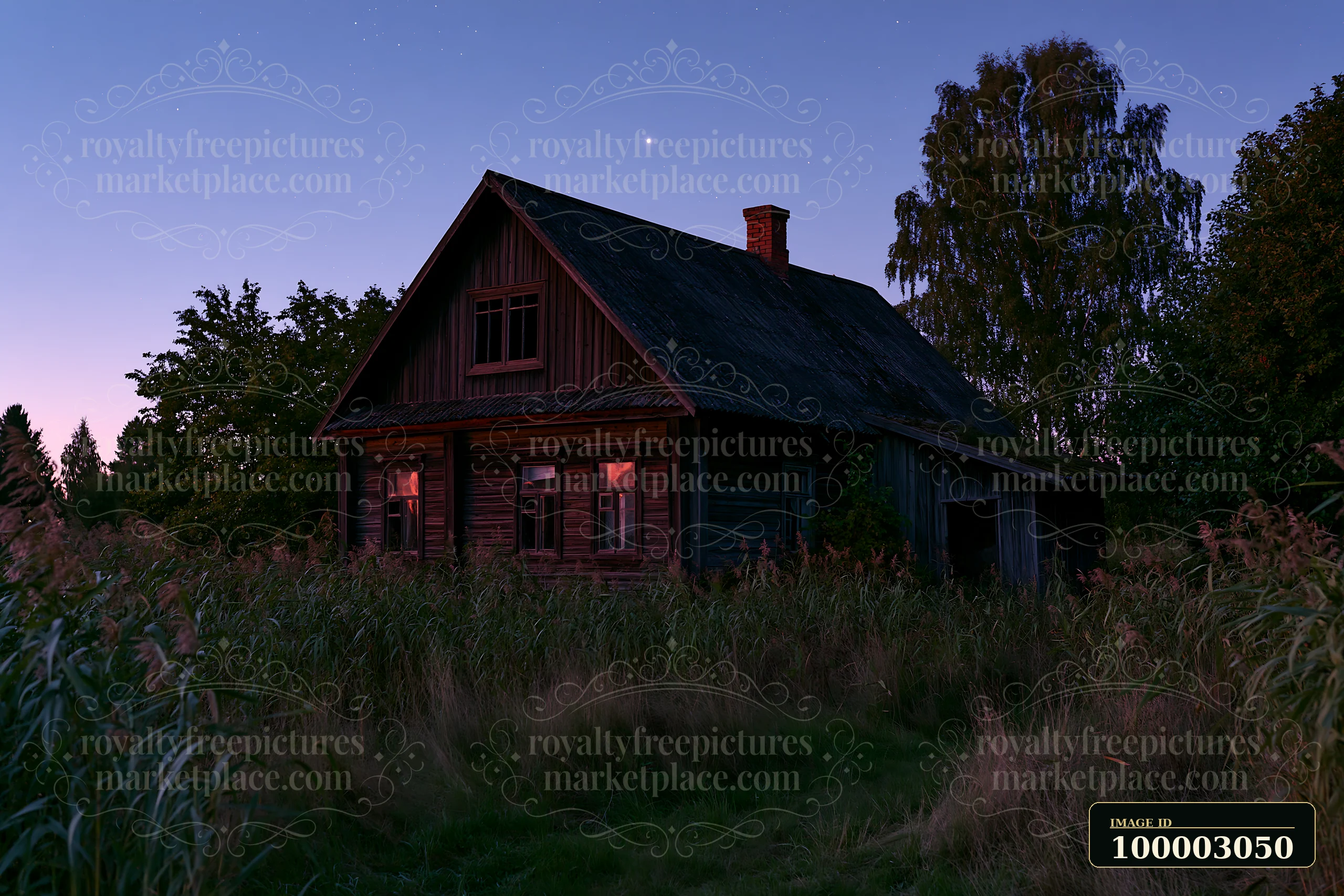 A wooden house stands surrounded by tall grass and trees as the blue hour sets in.