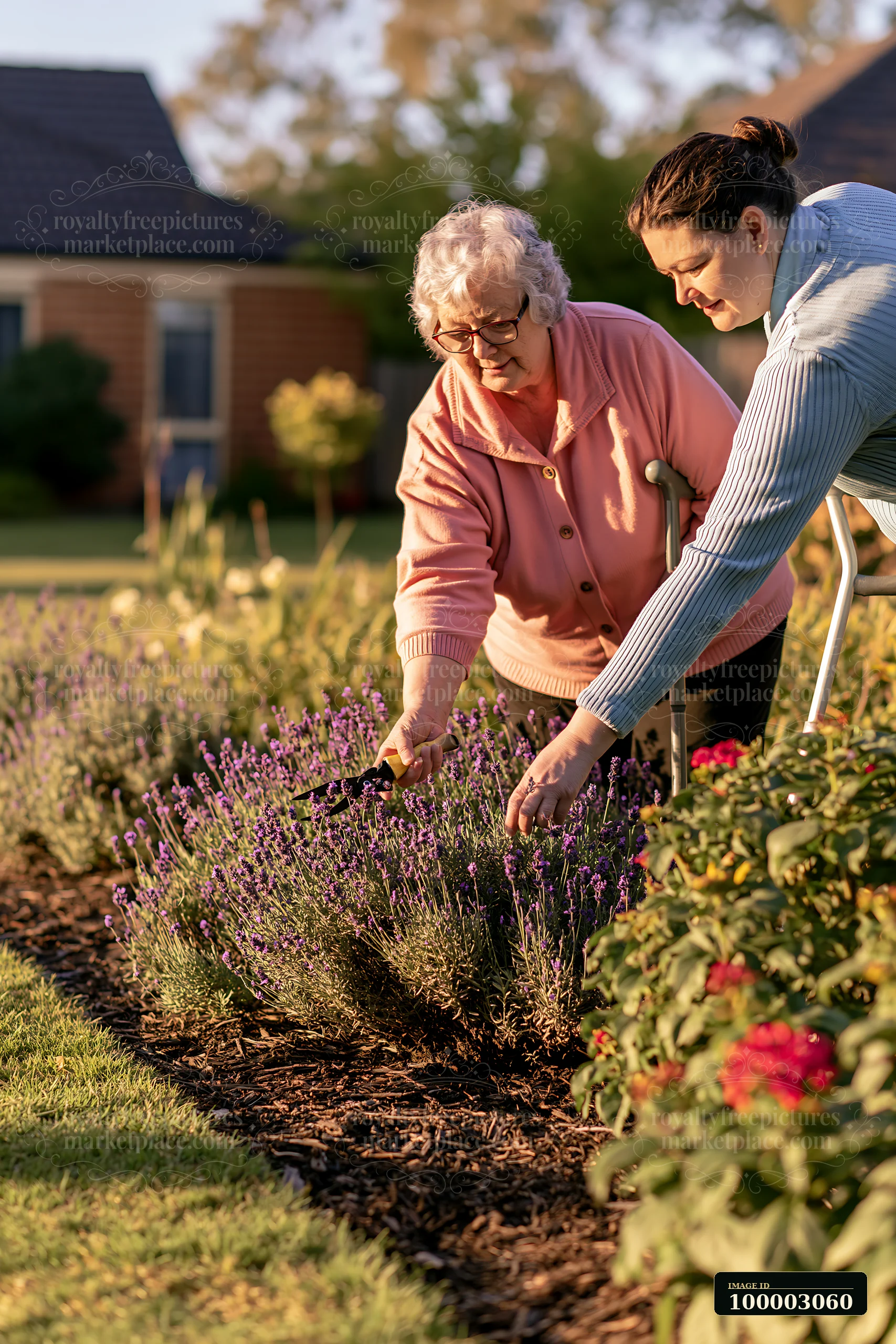 An elderly woman with Alzheimer's gardening with support from a caregiver in her backyard.